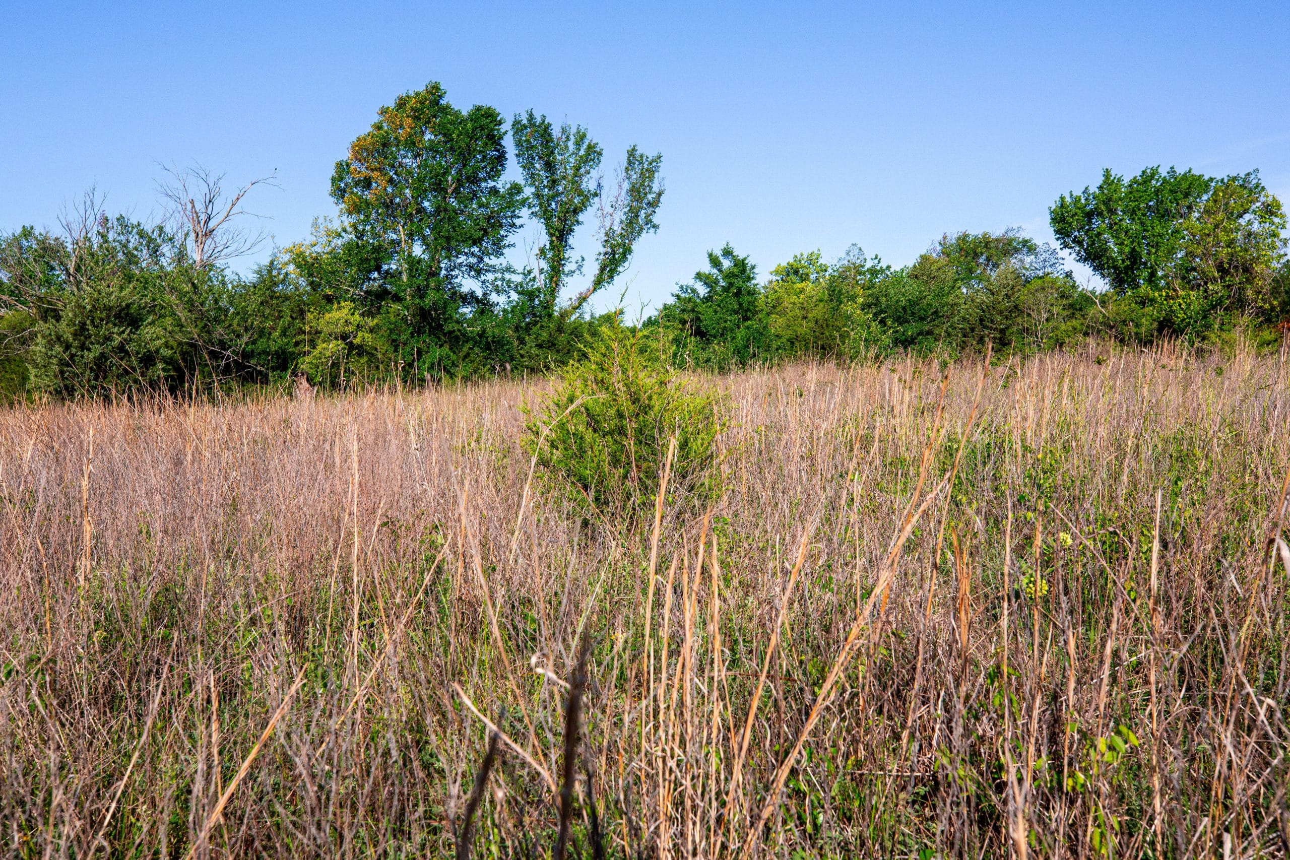 Prairie Grove Tract 21 photo 2