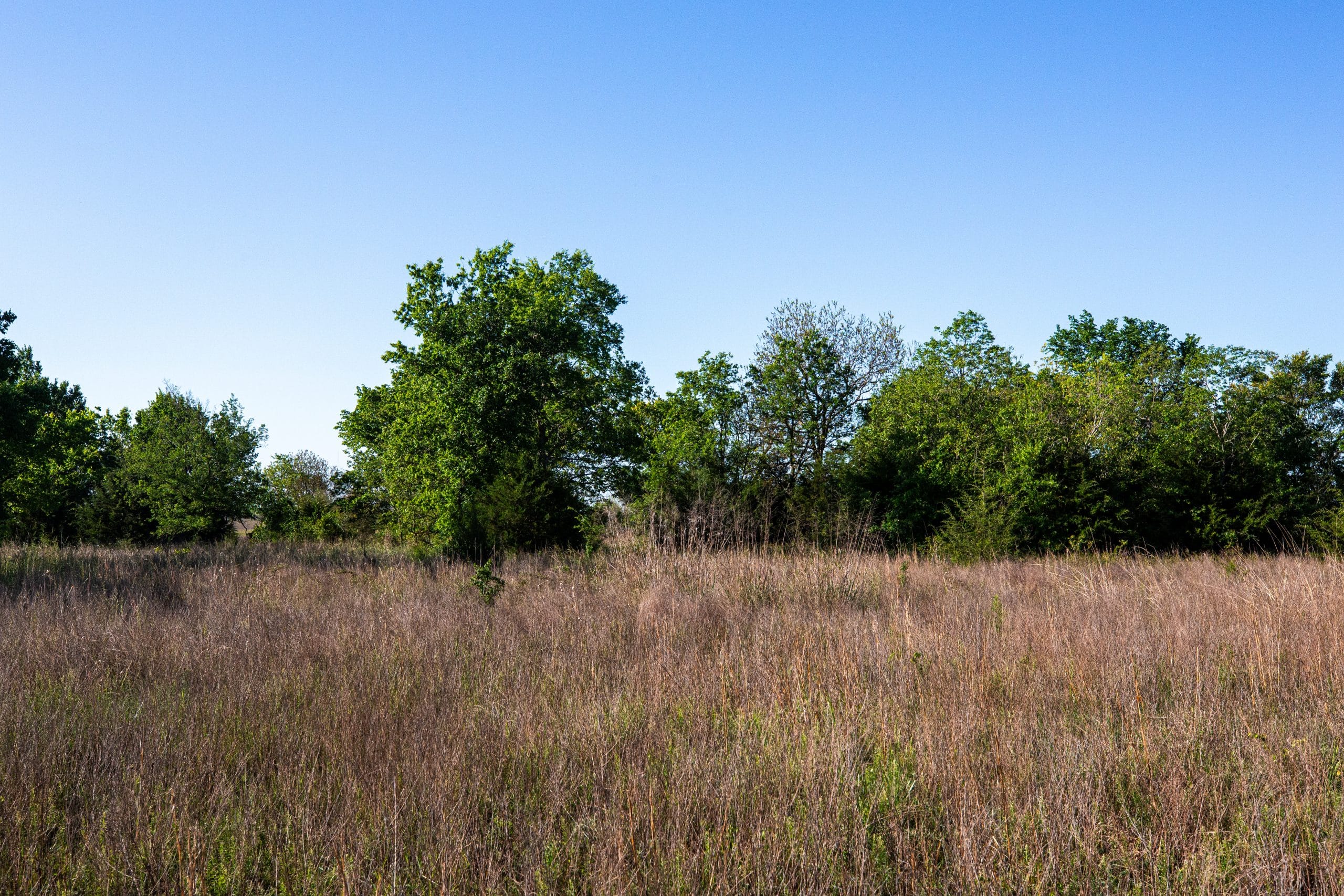 Prairie Grove Tract 21 photo 11