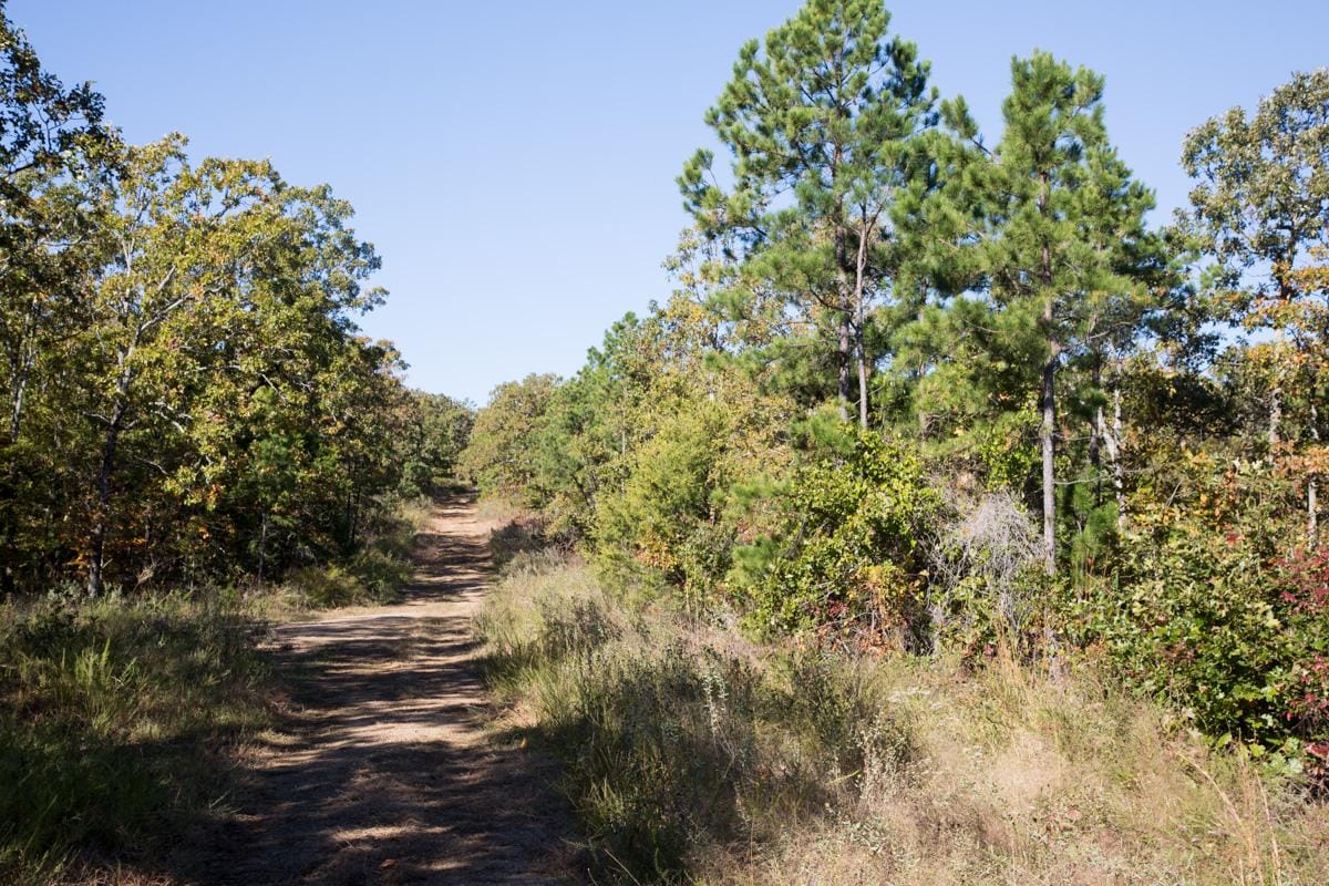 Stone Creek Phase I Tract 157 photo 6