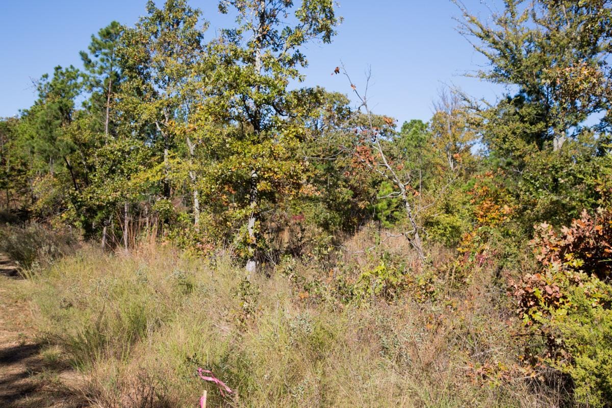 Stone Creek Phase I Tract 157 photo 8
