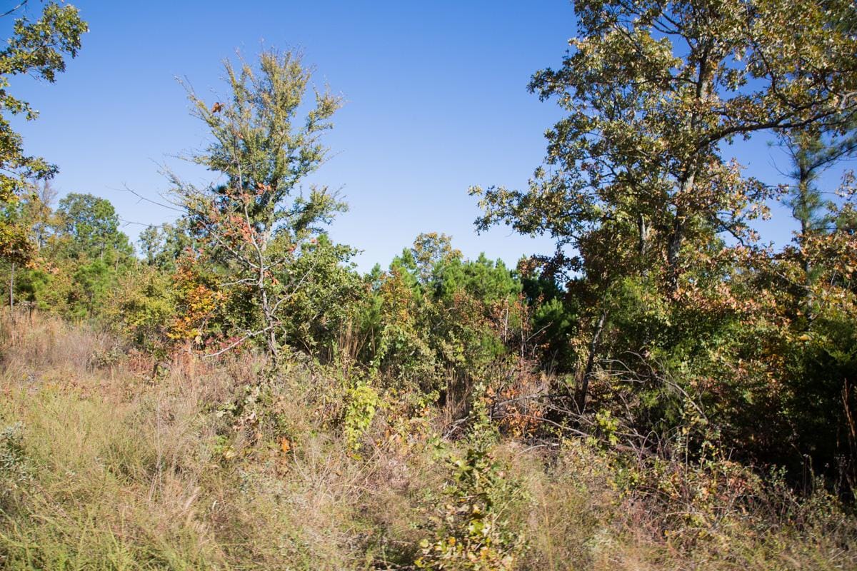 Stone Creek Phase I Tract 157 photo 9
