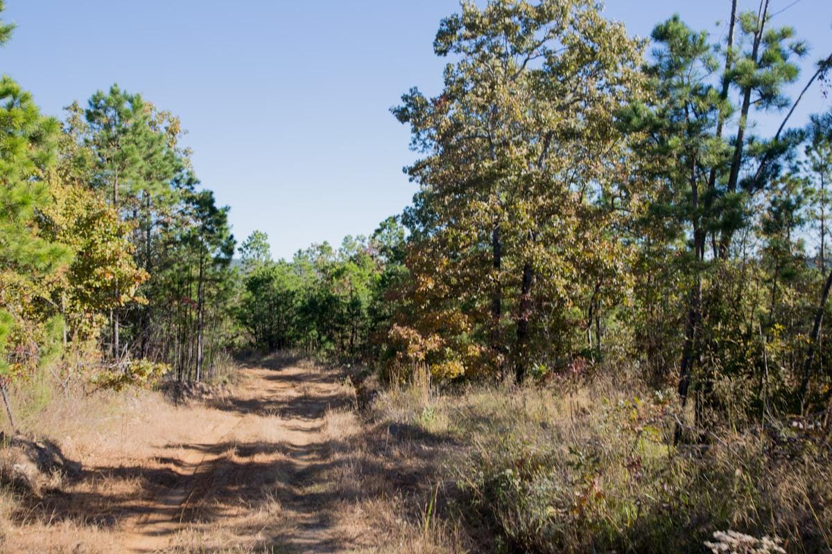 Stone Creek Phase I Tract 157 photo 2
