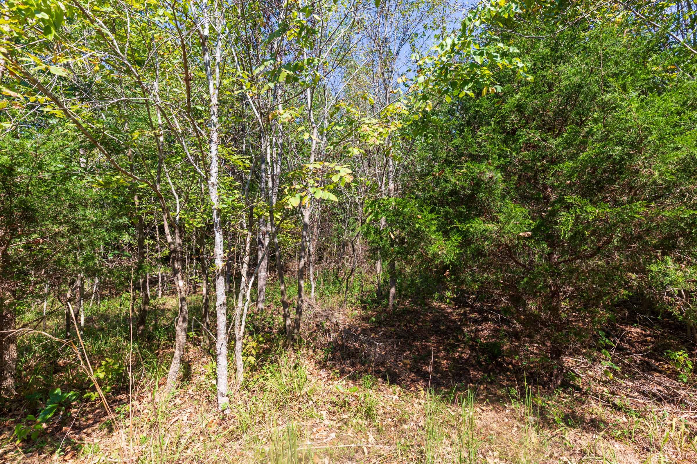 Redemption Ridge Tract 22 photo 2