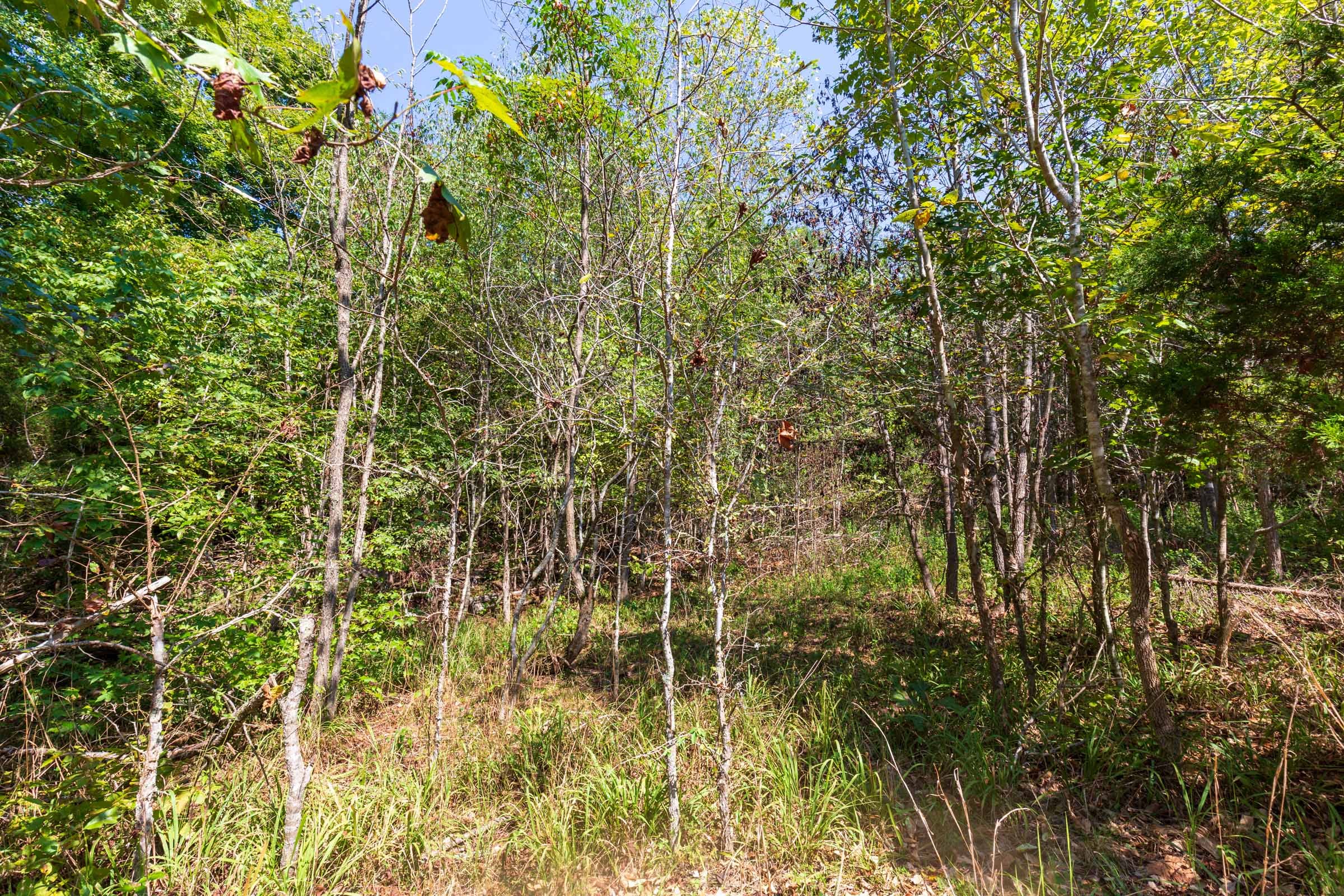 Redemption Ridge Tract 22 photo 4