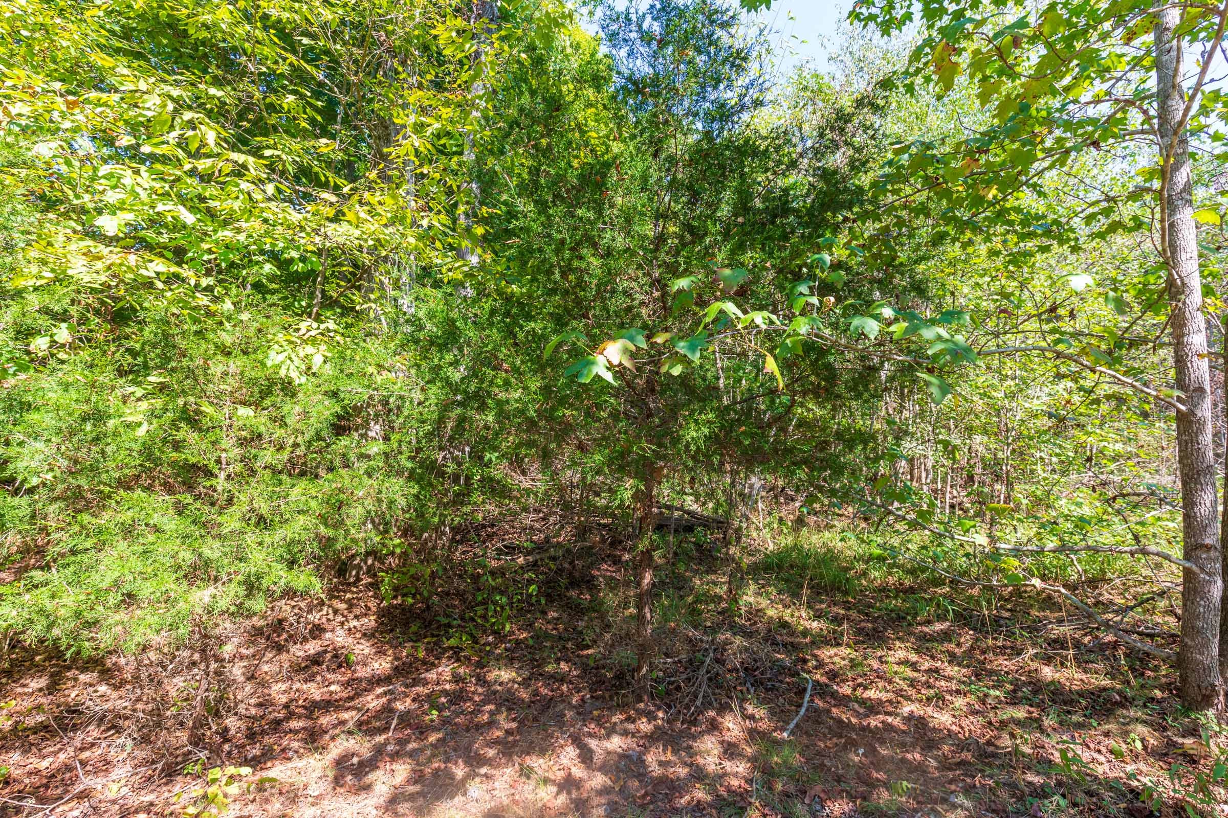 Redemption Ridge Tract 22 photo 3