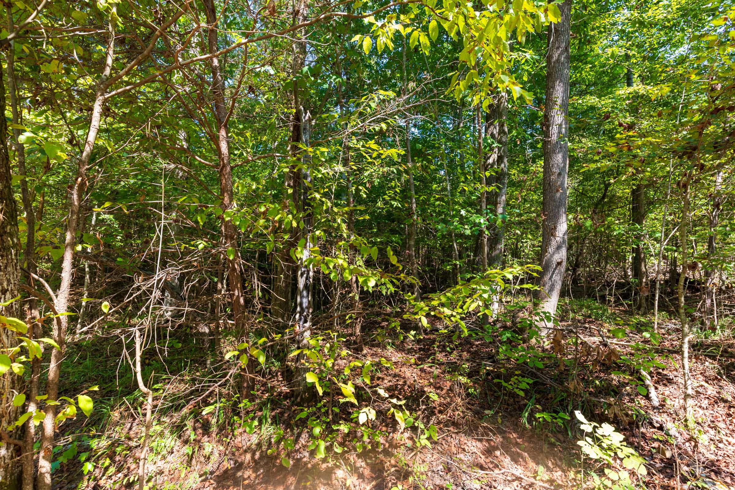 Redemption Ridge Tract 22 photo 6