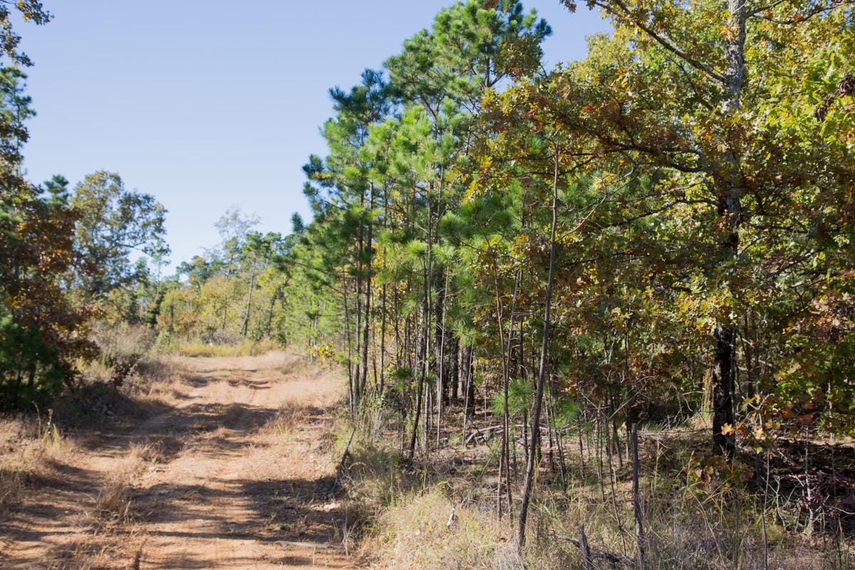 Stone Creek Phase I Tract 159 photo 5