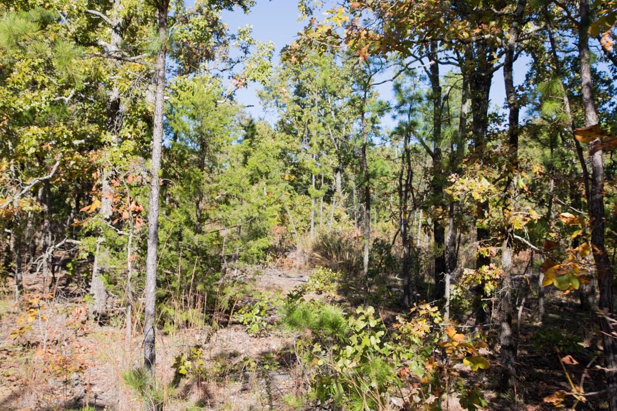 Stone Creek Phase I Tract 159 photo 6