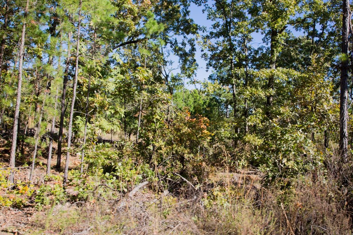 Stone Creek Phase I Tract 159 photo 7