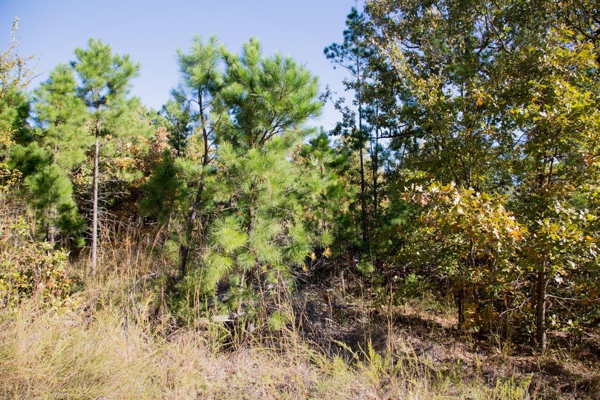 Stone Creek Phase I Tract 159 photo 8