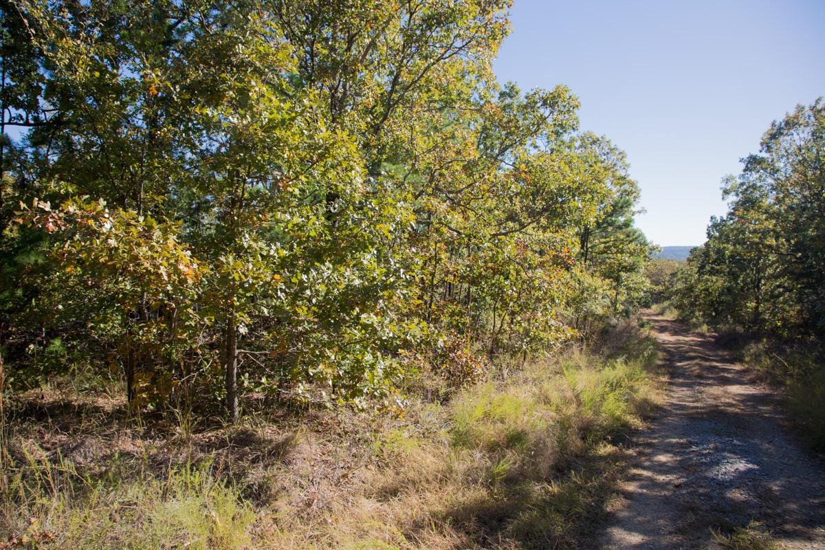 Stone Creek Phase I Tract 159 photo 9