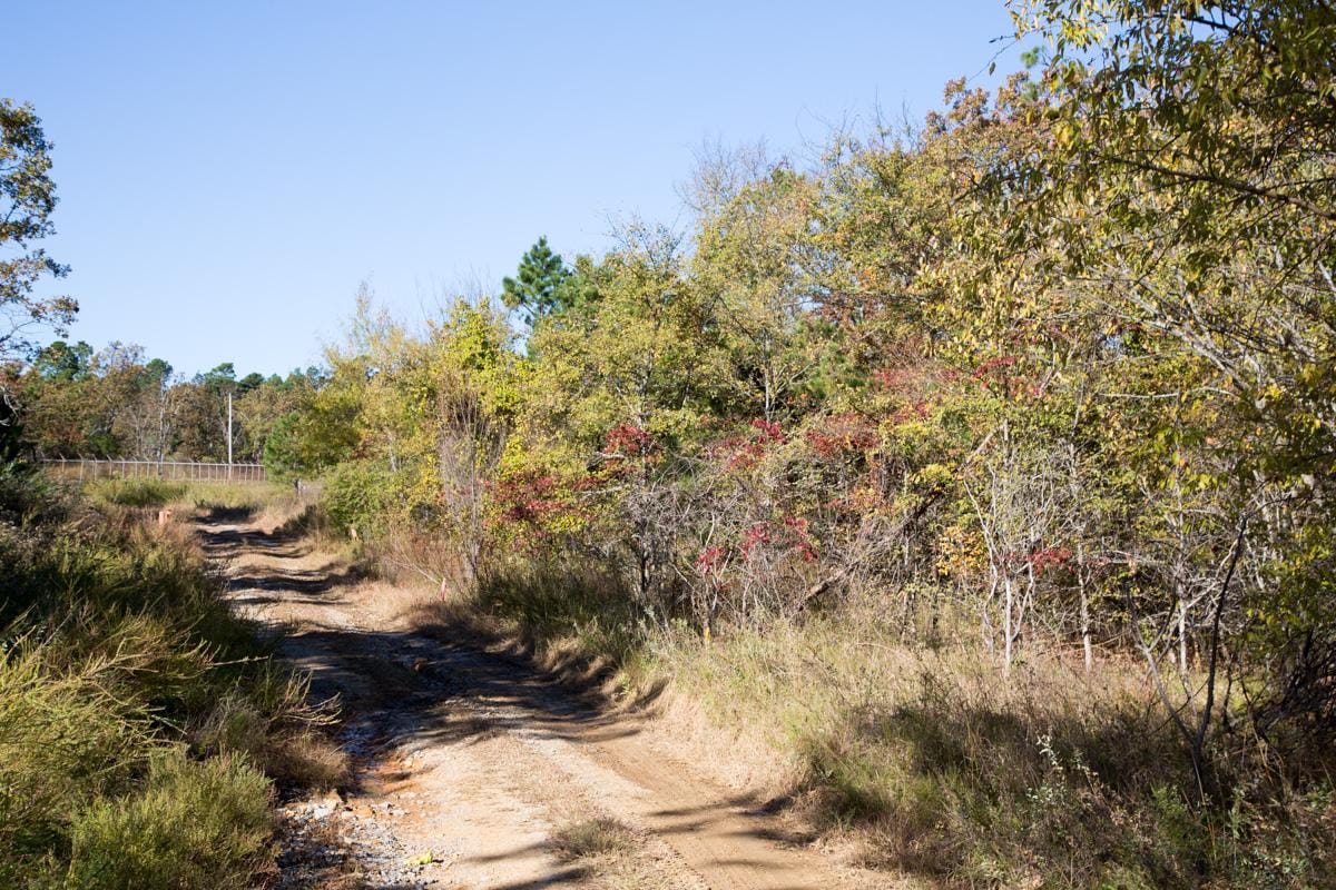 Stone Creek Phase I Tract 159 photo 10