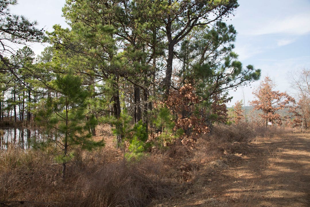 Stone Creek Phase III Tract 75 photo 2