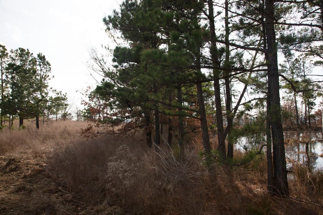Stone Creek Phase III Tract 75 photo 3