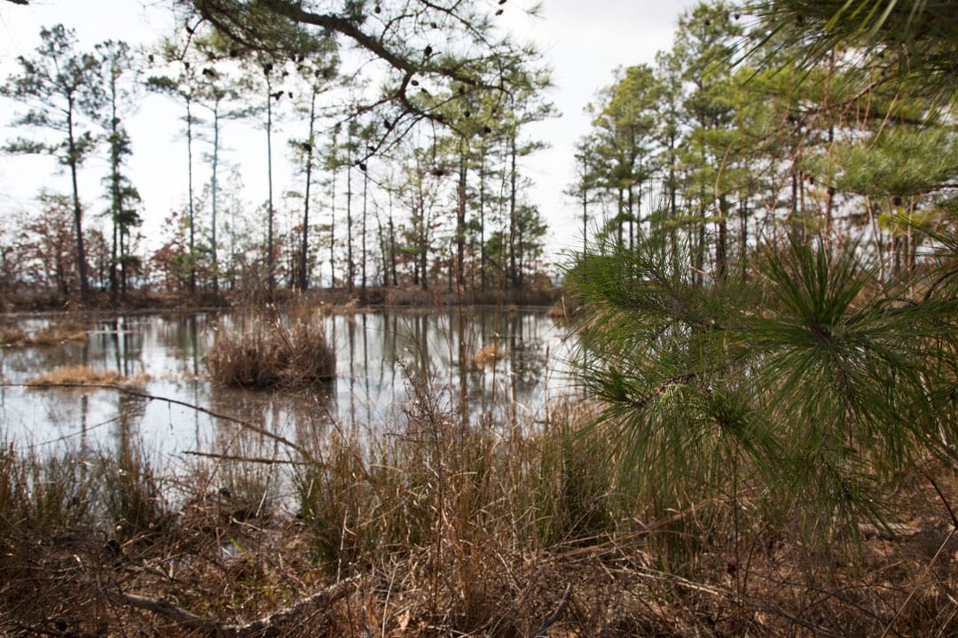 Stone Creek Phase III Tract 75 photo 4