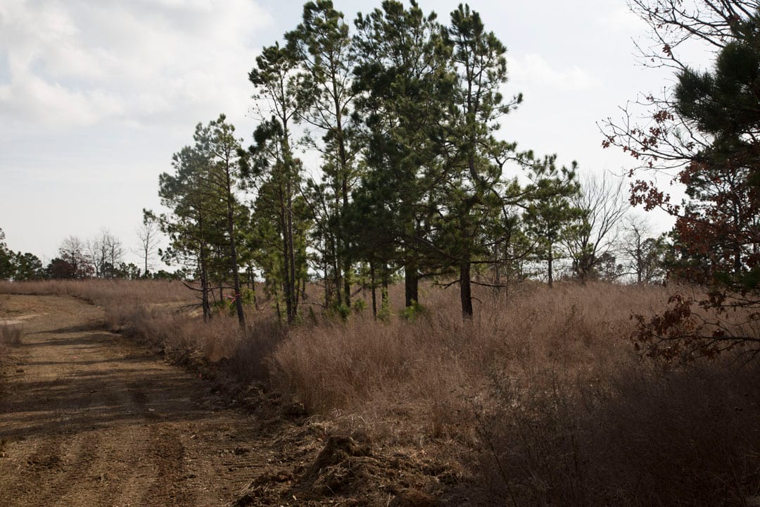 Stone Creek Phase III Tract 75 photo 5