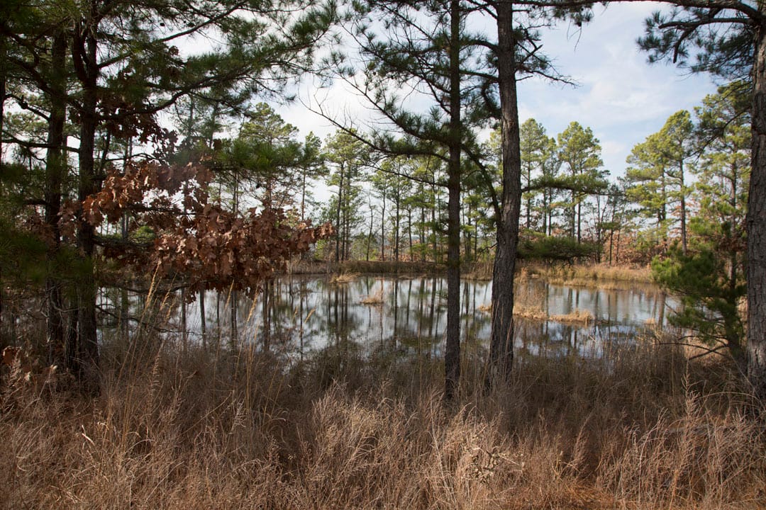 Stone Creek Phase III Tract 75 photo 6