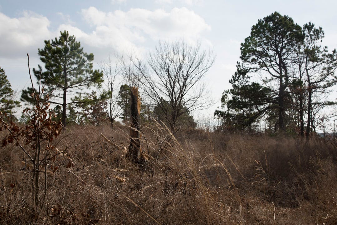 Stone Creek Phase III Tract 75 photo 8