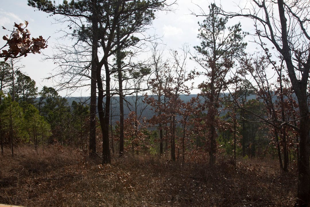Stone Creek Phase III Tract 75 photo 9
