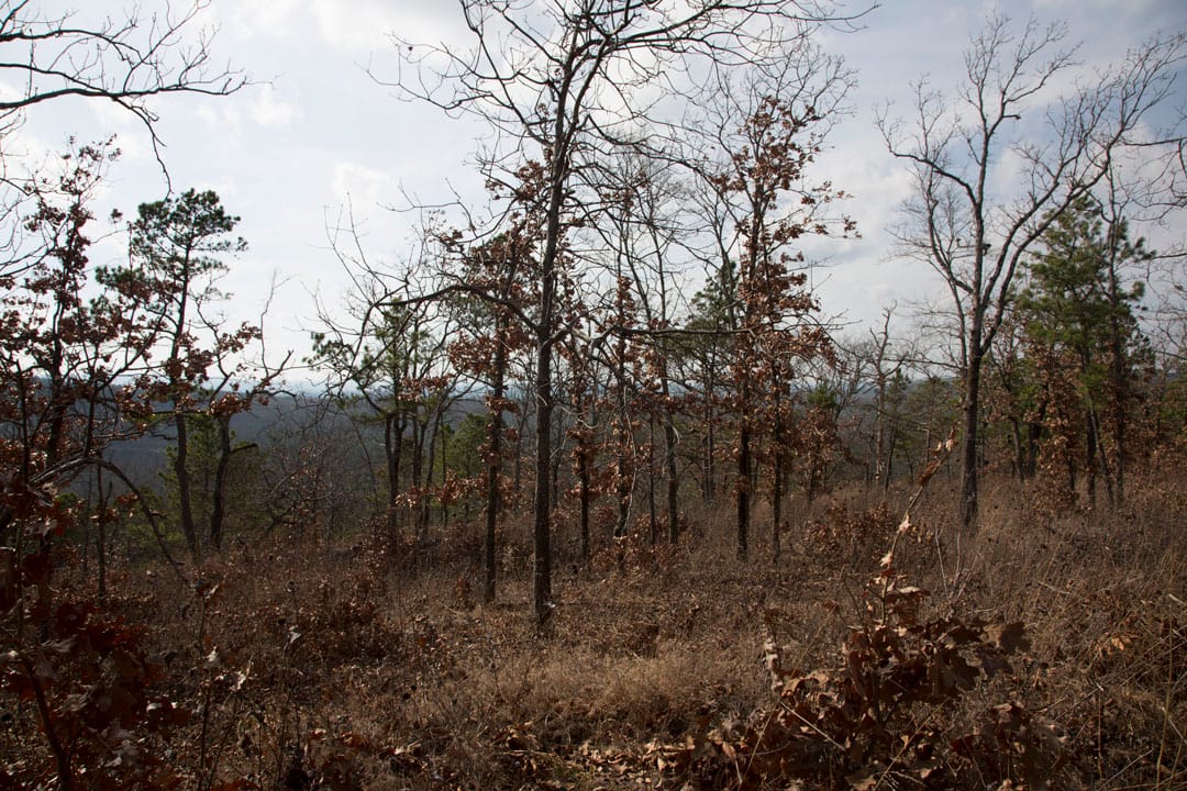 Stone Creek Phase III Tract 75 photo 10