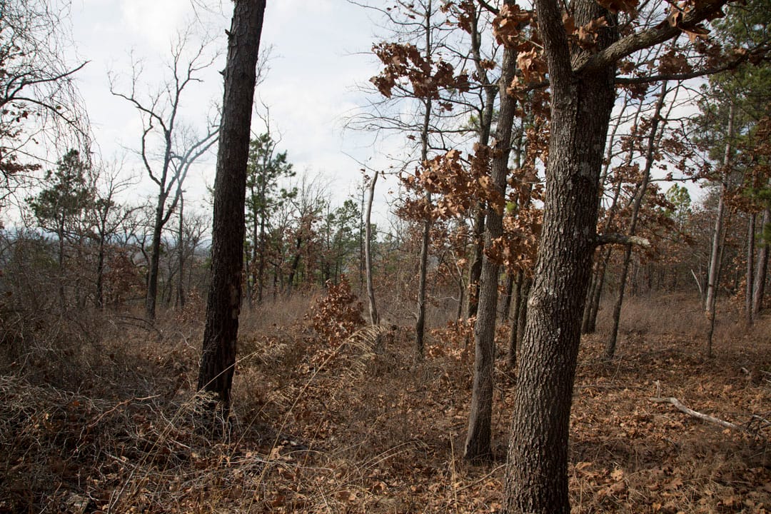 Stone Creek Phase III Tract 75 photo 11