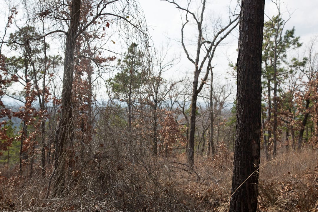 Stone Creek Phase III Tract 75 photo 12