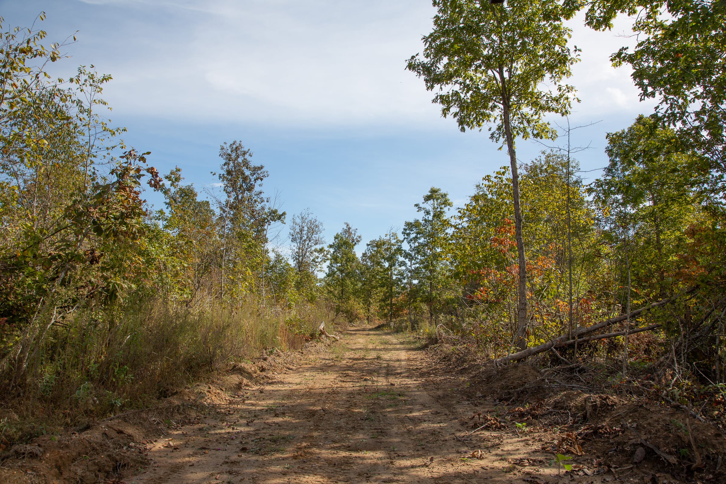 Borgmann’s Hollow Phase IV Tract 118 photo 1