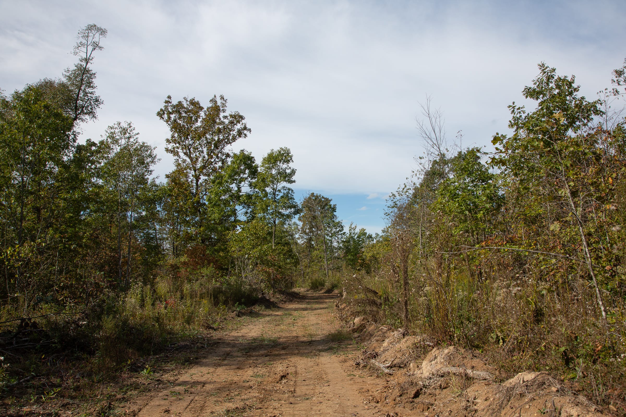 Borgmann’s Hollow Phase IV Tract 118 photo 5