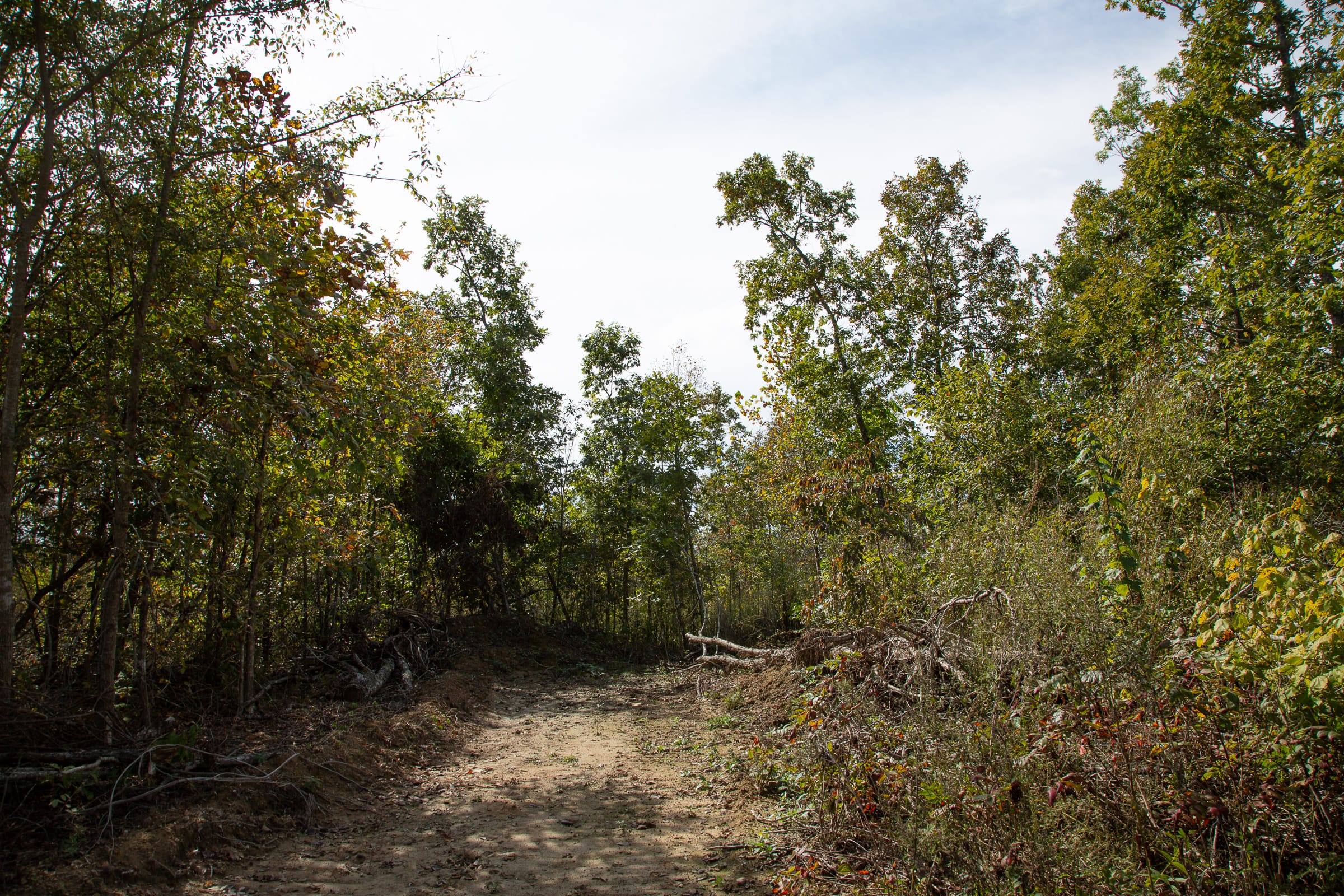 Borgmann’s Hollow Phase IV Tract 118 photo 9