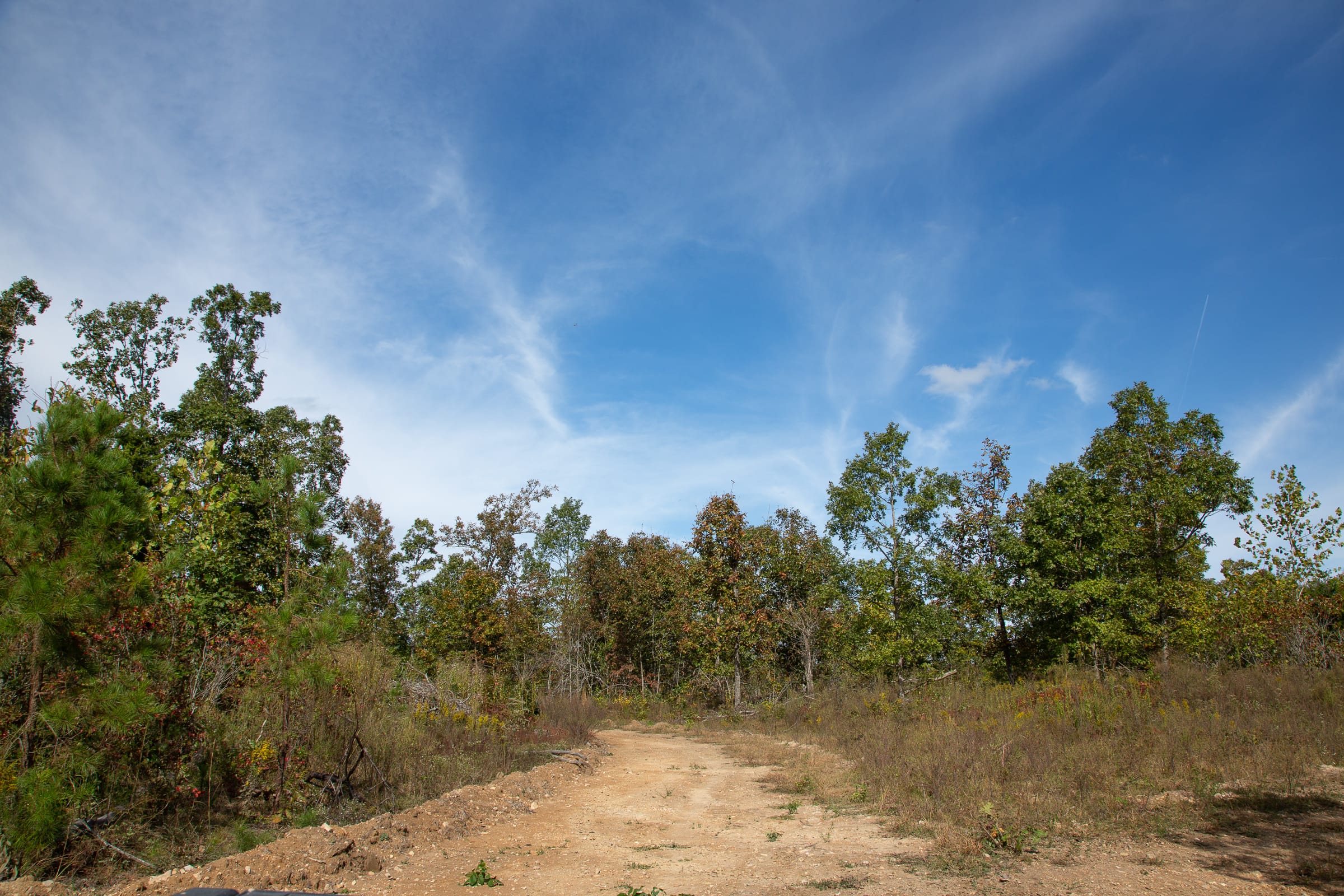 Borgmann’s Hollow Phase IV Tract 118 photo 12