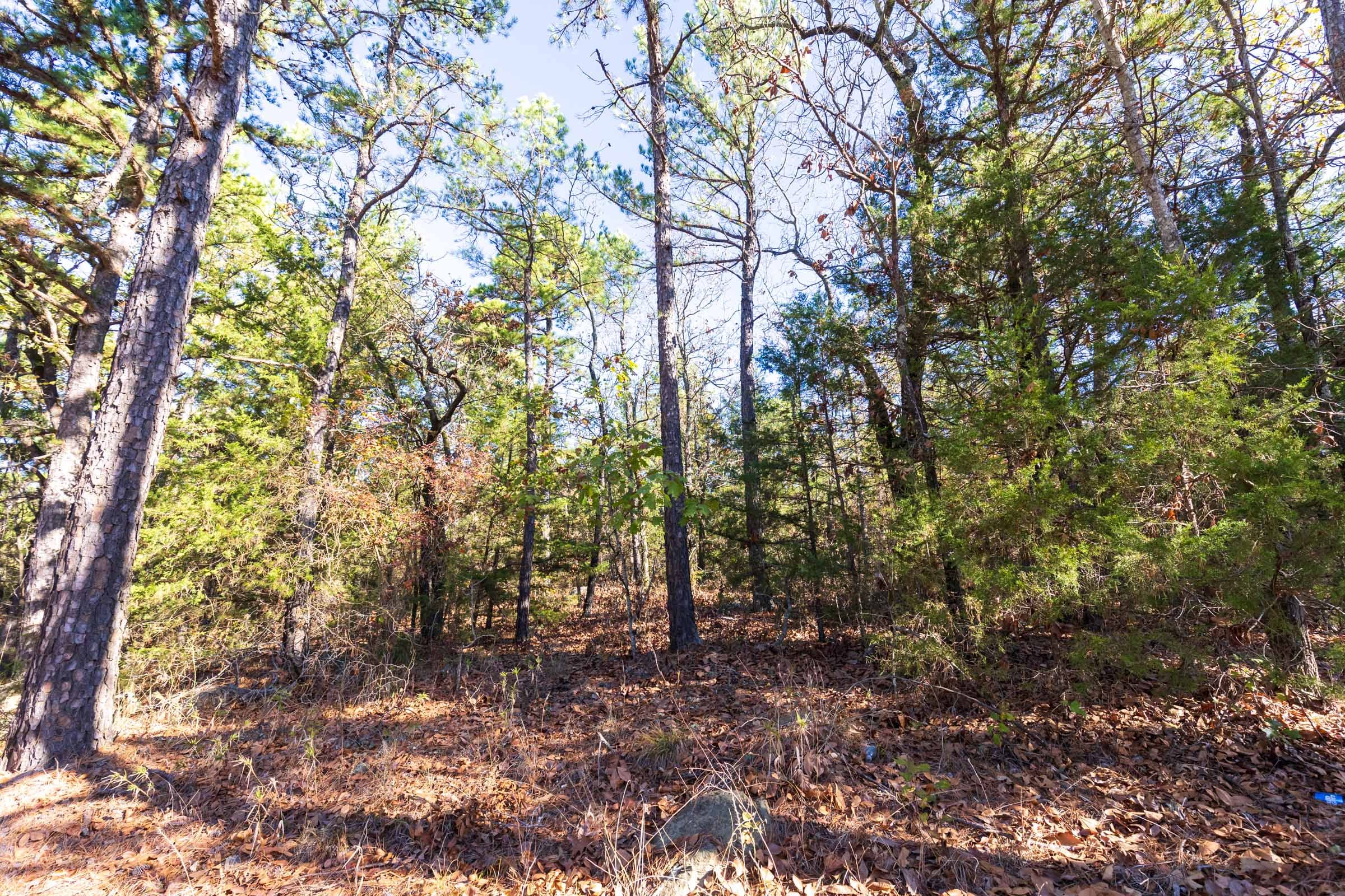 Stone Bridge Reserve Tract 5 photo 9
