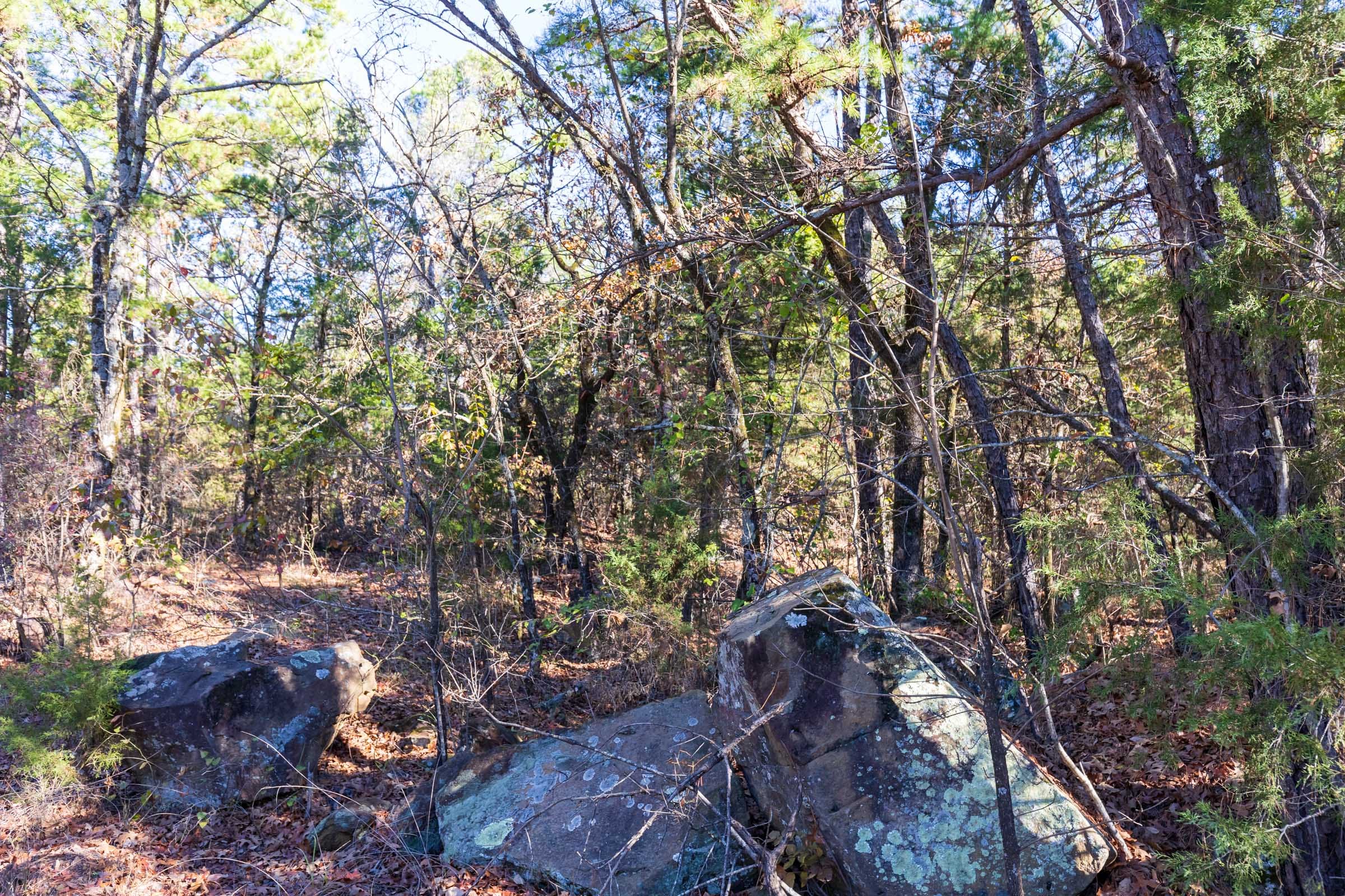Stone Bridge Reserve Tract 5 photo 8