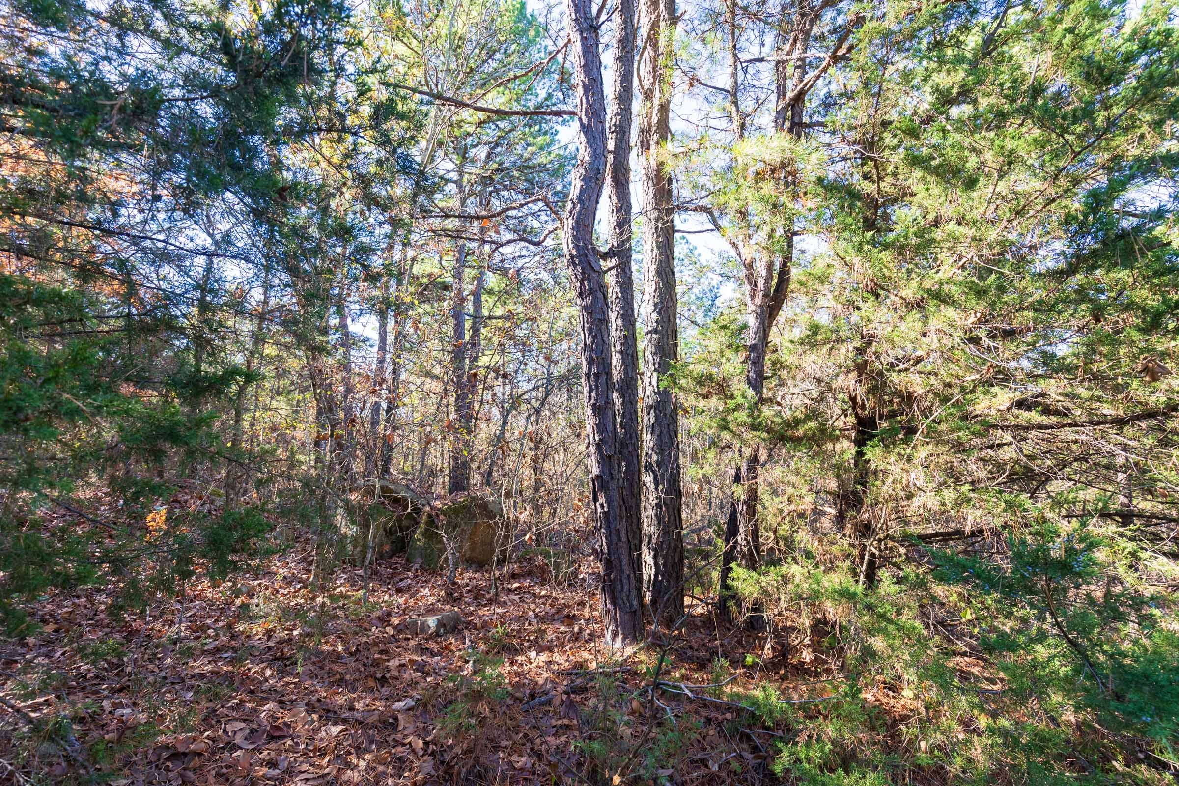 Stone Bridge Reserve Tract 5 photo 7