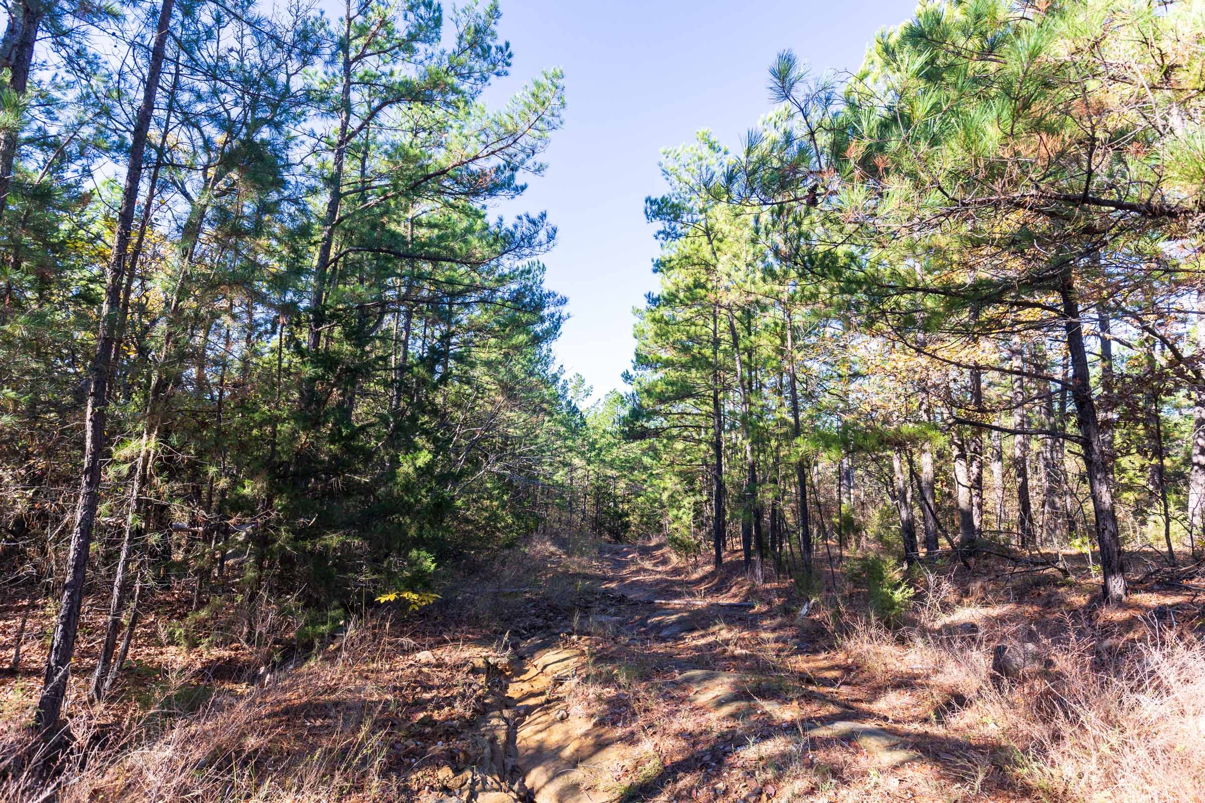 Stone Bridge Reserve Tract 5 photo 4