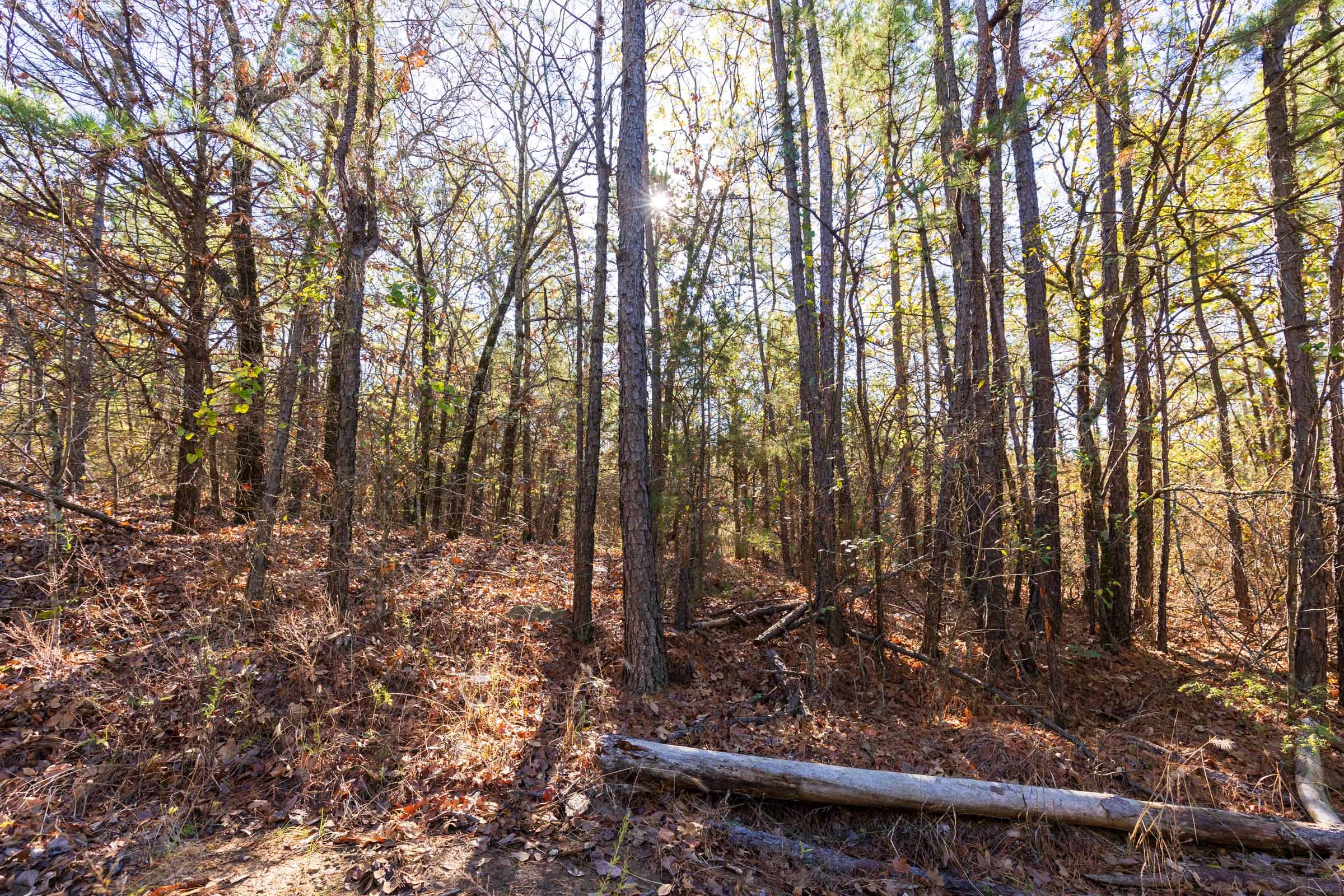Stone Bridge Reserve Tract 5 photo 2