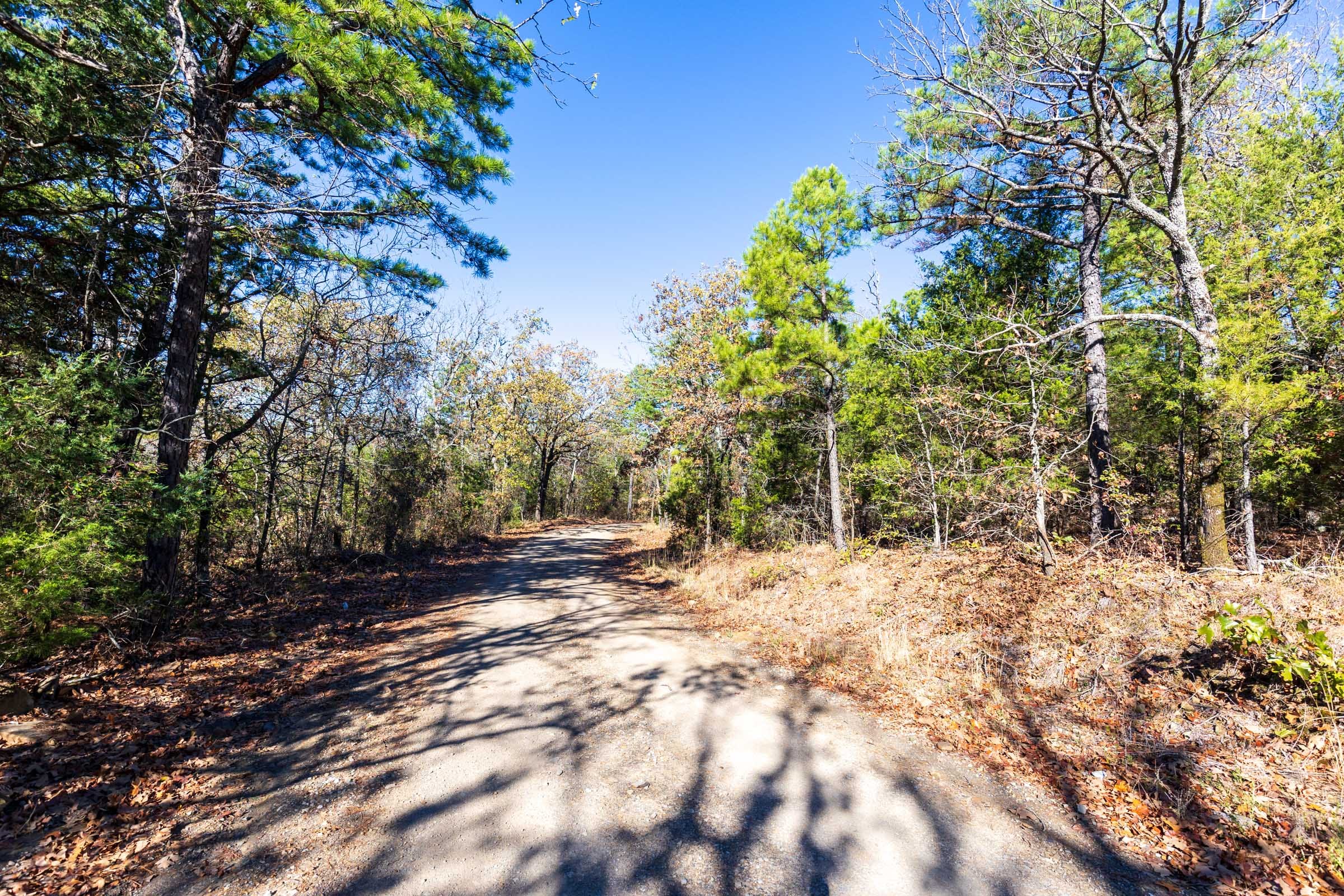 Stone Bridge Reserve Tract 5 photo 6