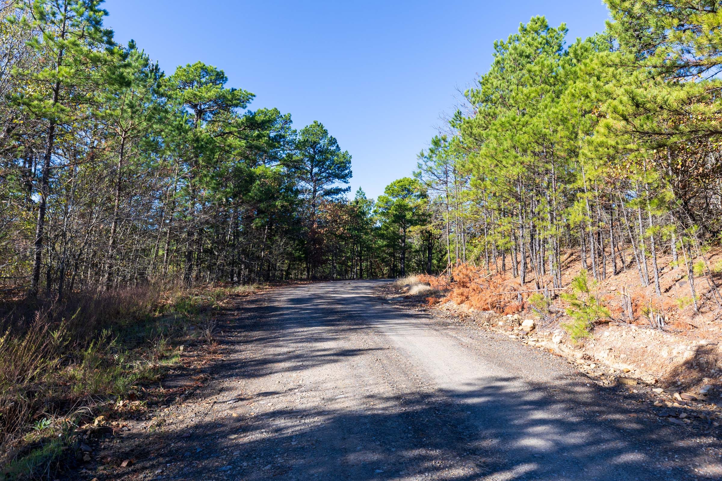 Stone Bridge Reserve Tract 5 photo 1