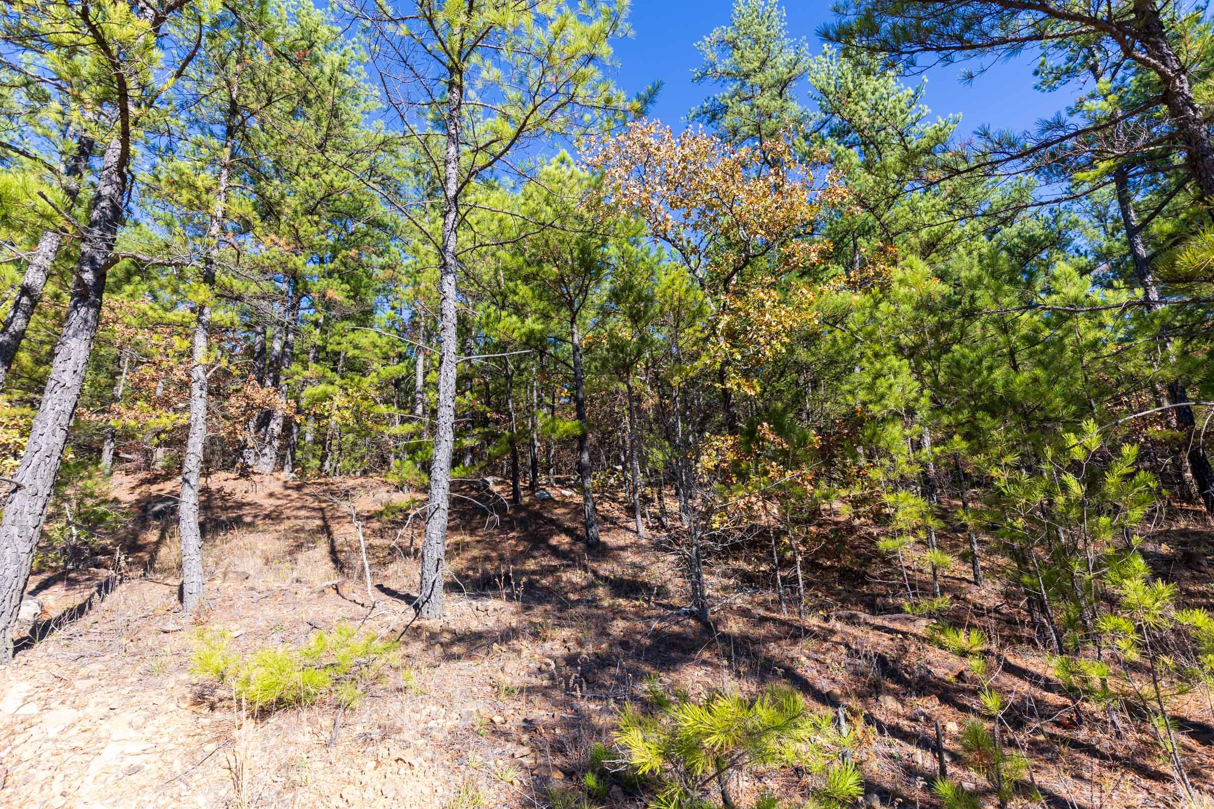 Stone Bridge Reserve Tract 5 photo 3