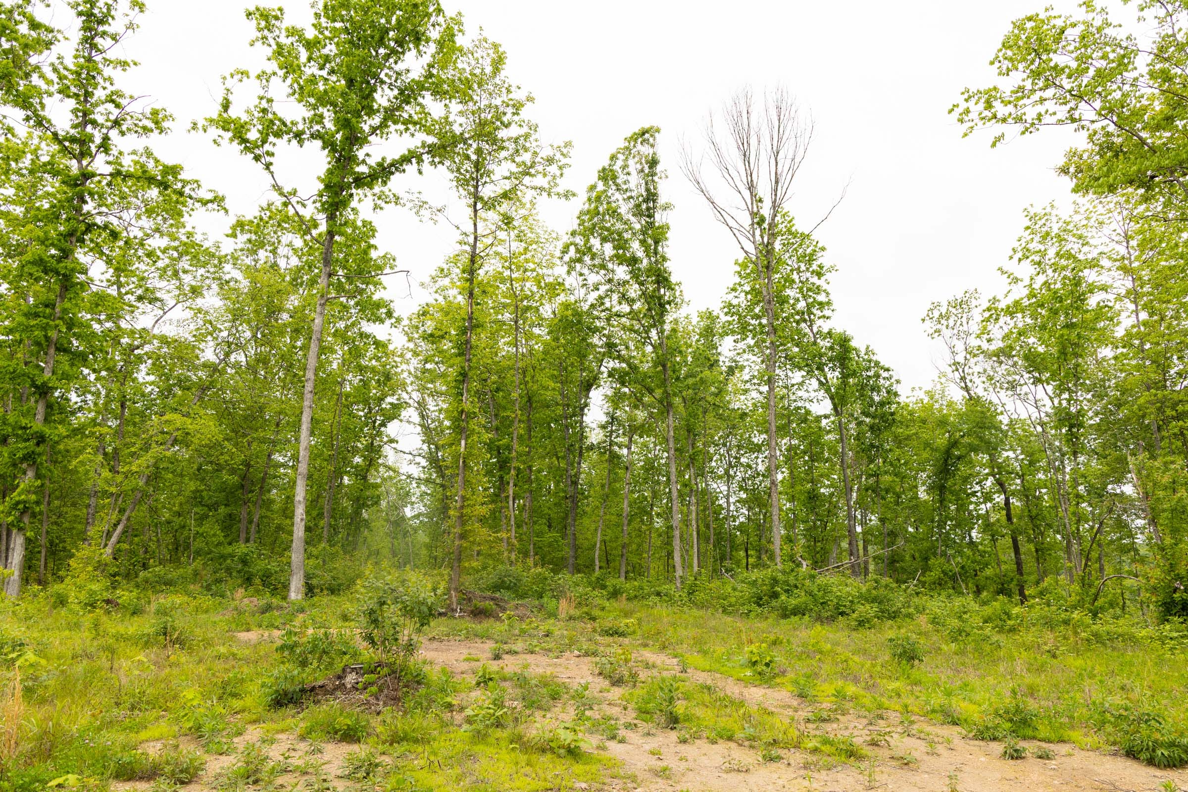 Stardust Estates Tract 19 photo 2