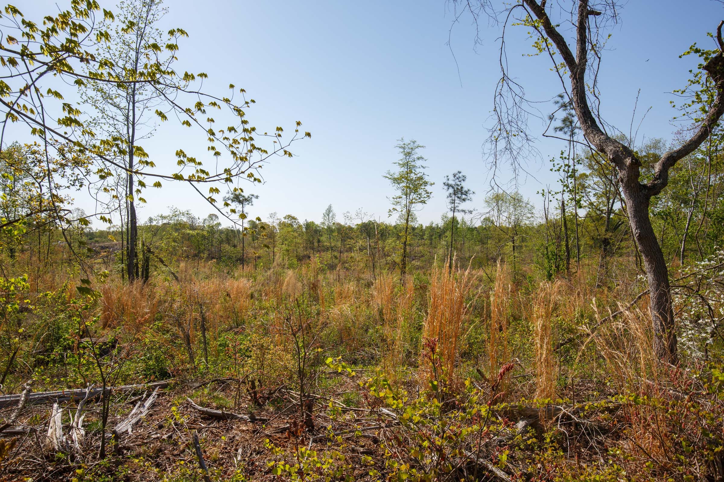 Twin Rivers Tract 2 photo 6