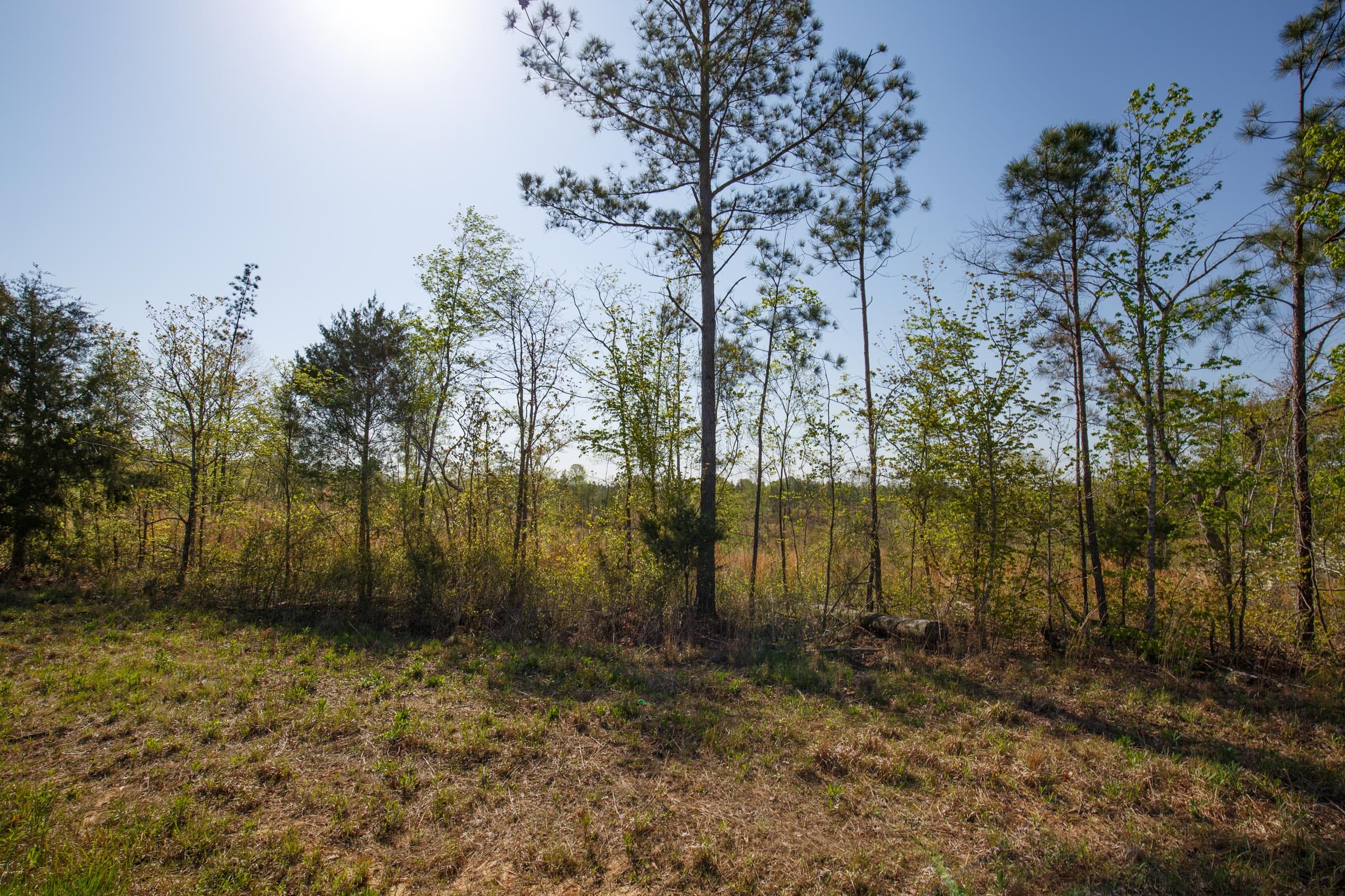 Twin Rivers Tract 2 photo 10