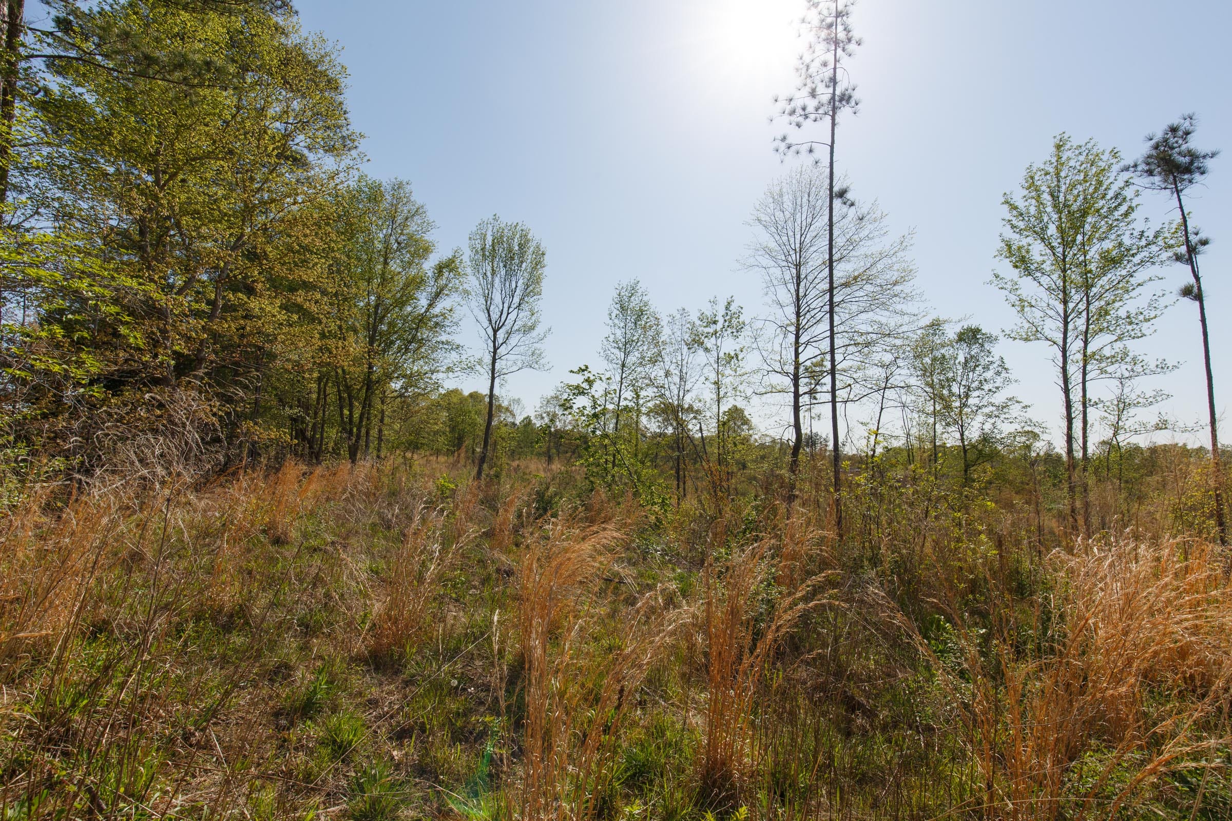 Twin Rivers Tract 2 photo 11