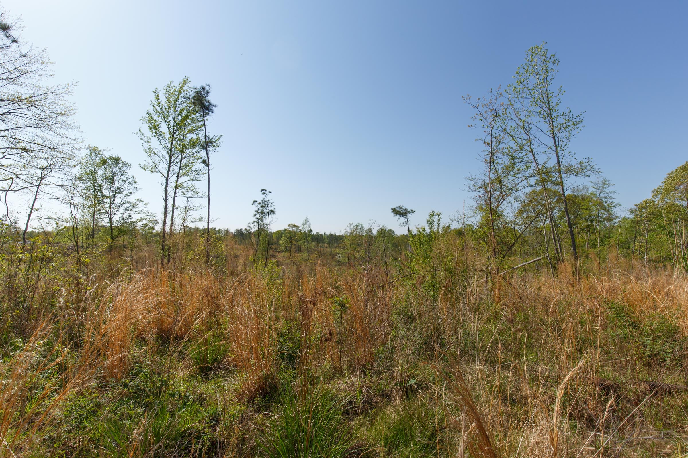 Twin Rivers Tract 2 photo 13