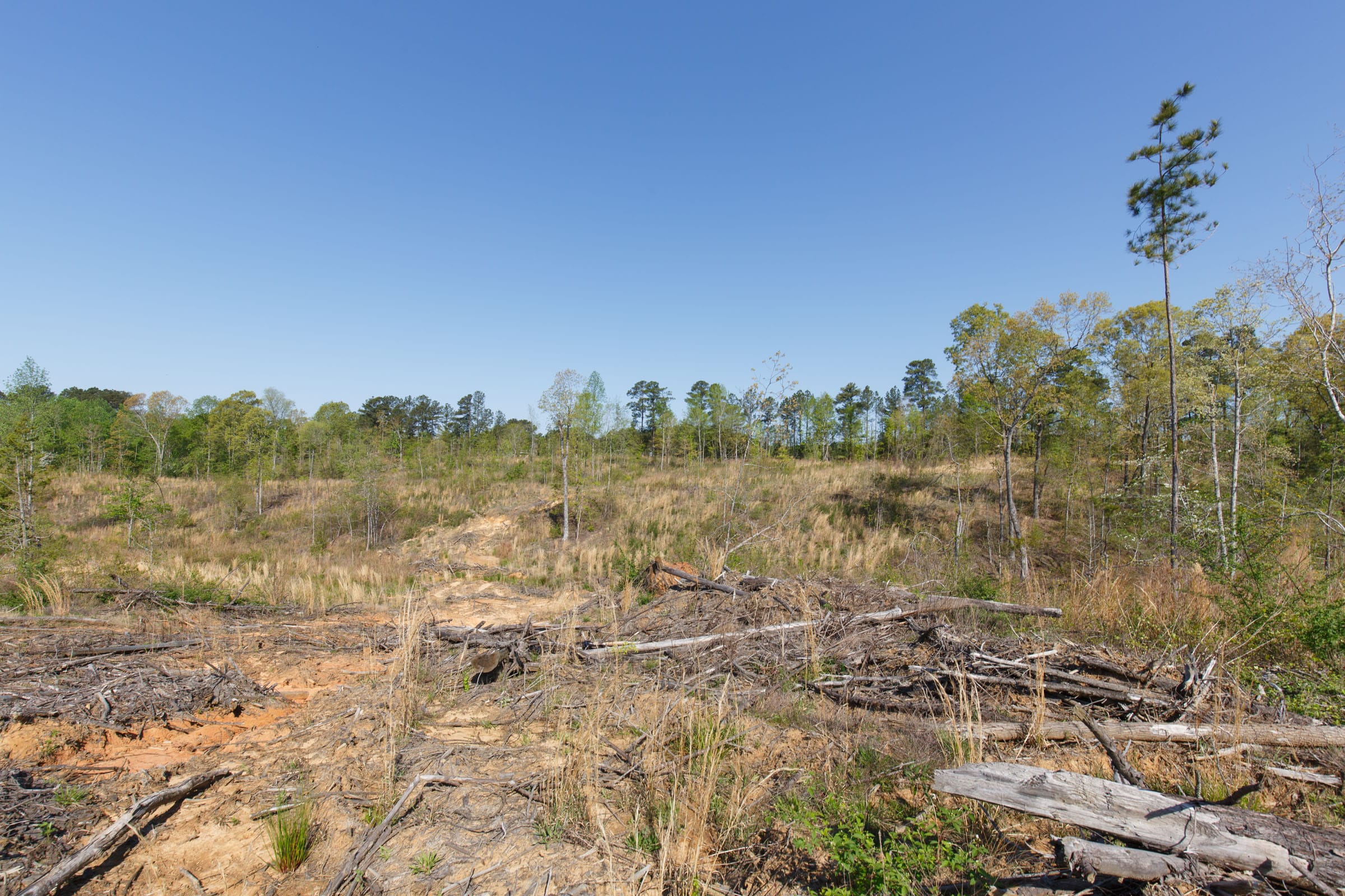 Twin Rivers Tract 2 photo 14
