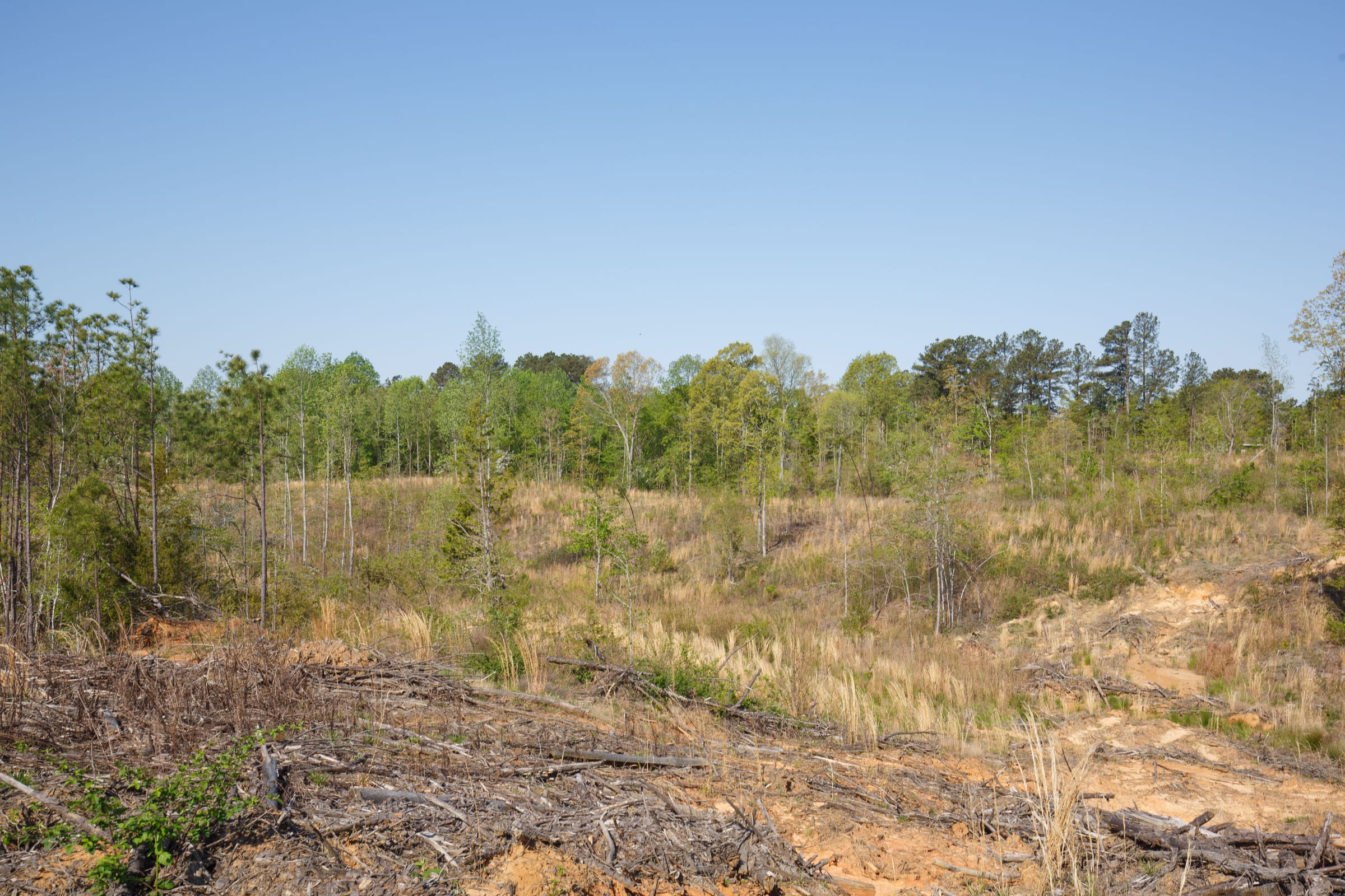 Twin Rivers Tract 2 photo 15