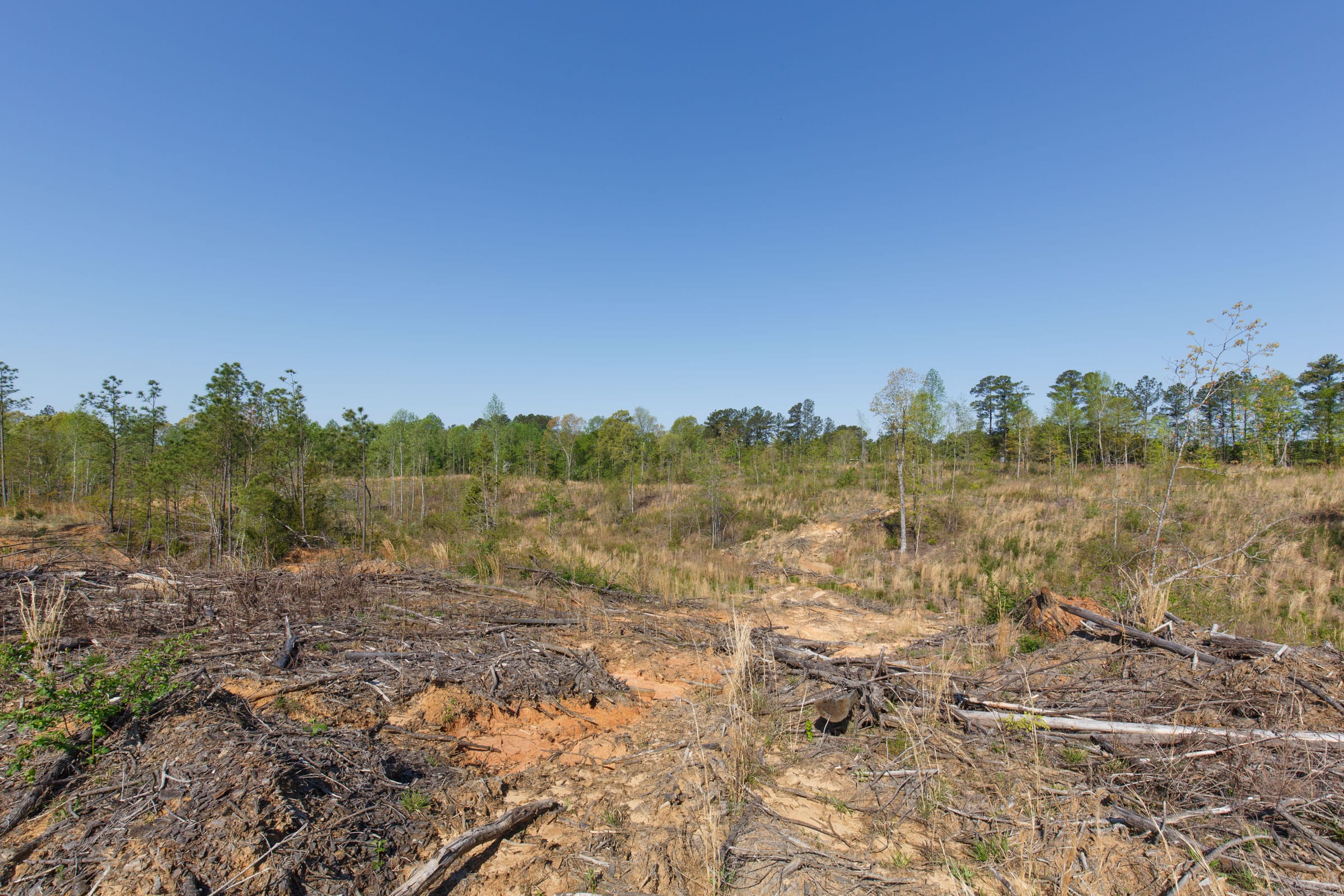 Twin Rivers Tract 2 photo 16