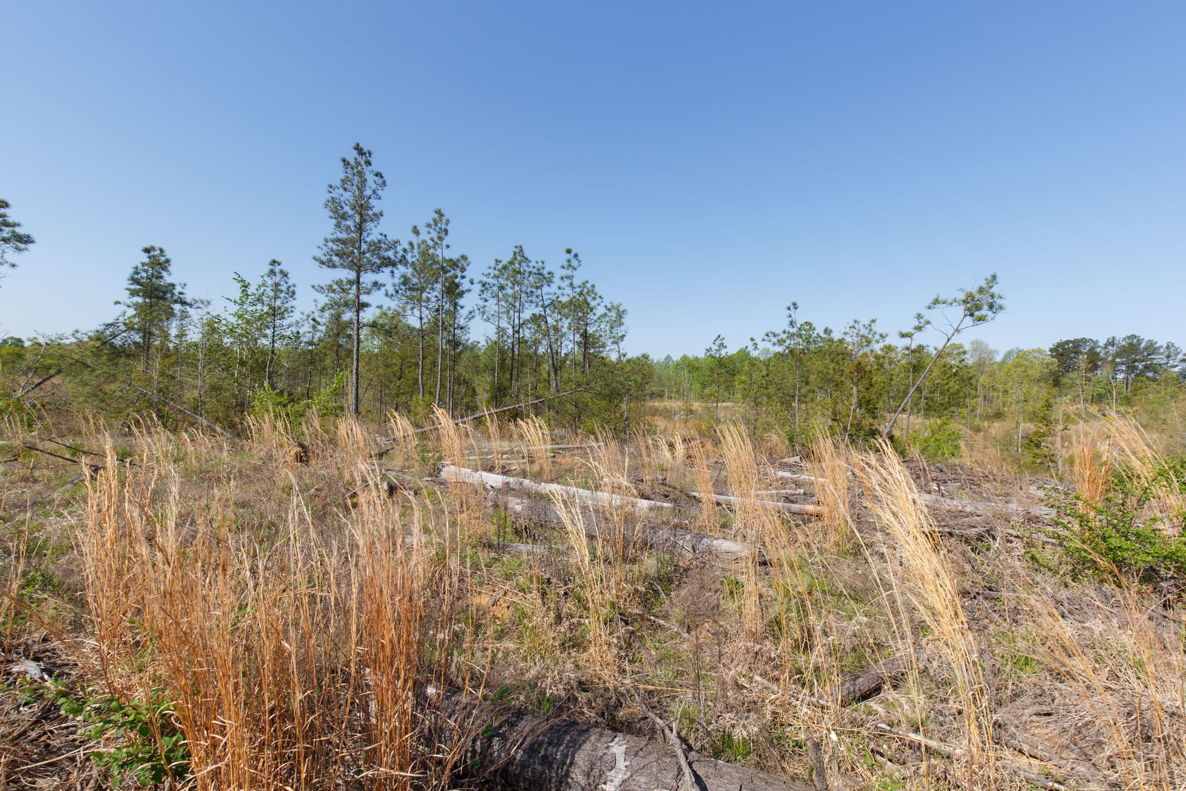 Twin Rivers Tract 2 photo 18