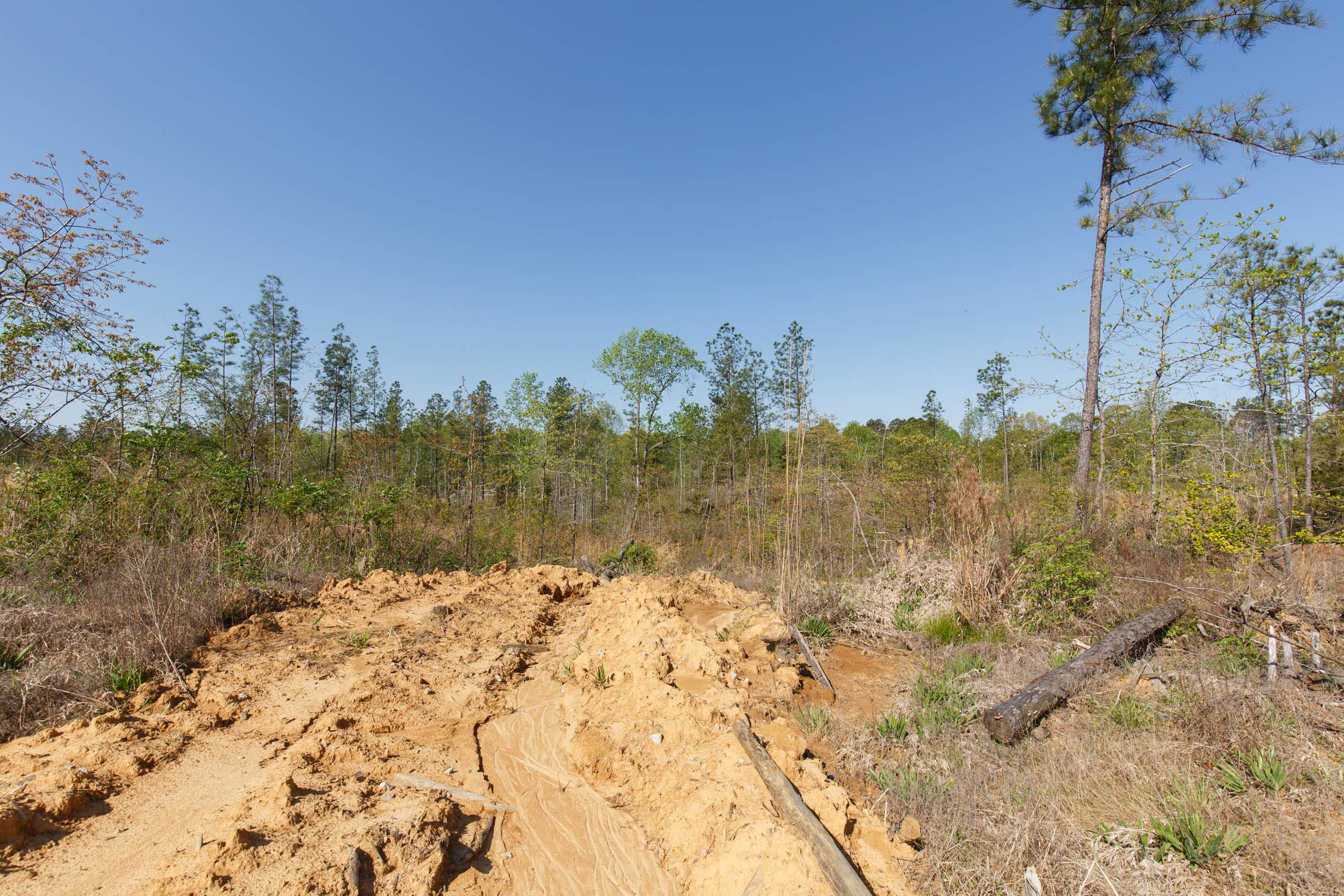 Twin Rivers Tract 2 photo 19