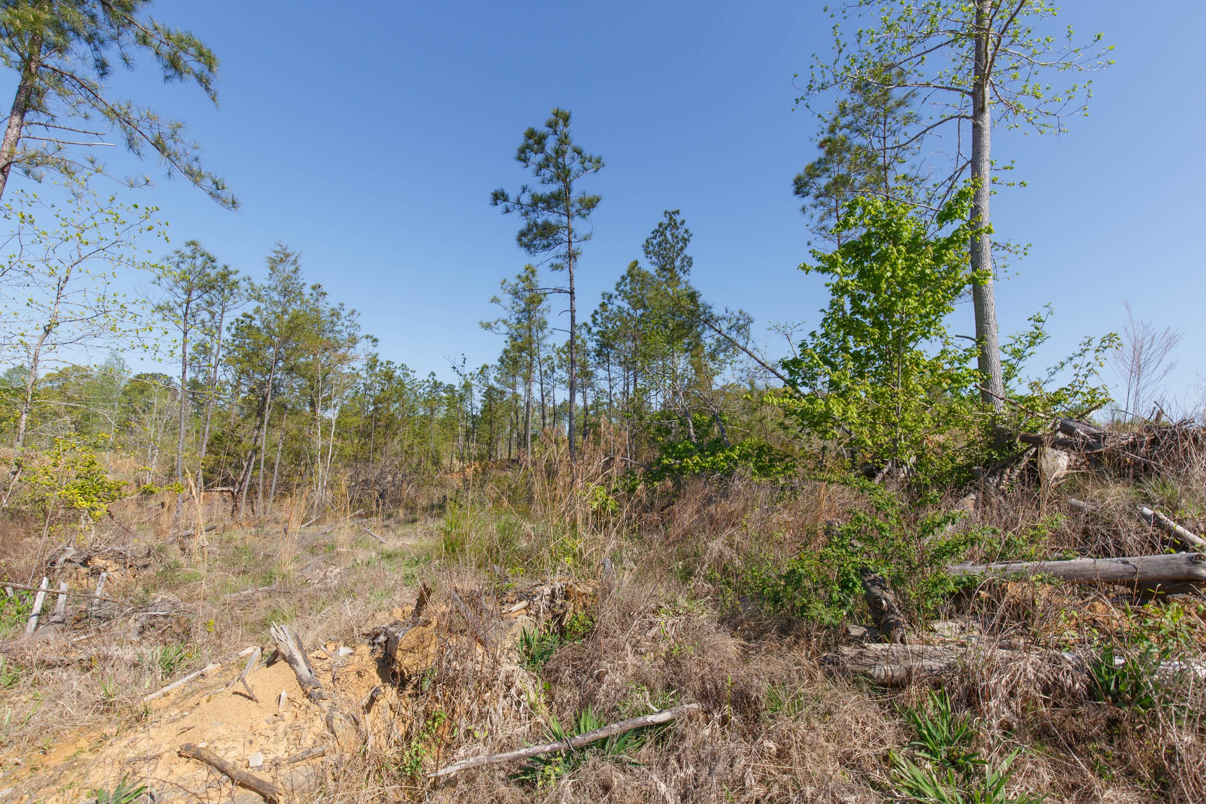 Twin Rivers Tract 2 photo 20
