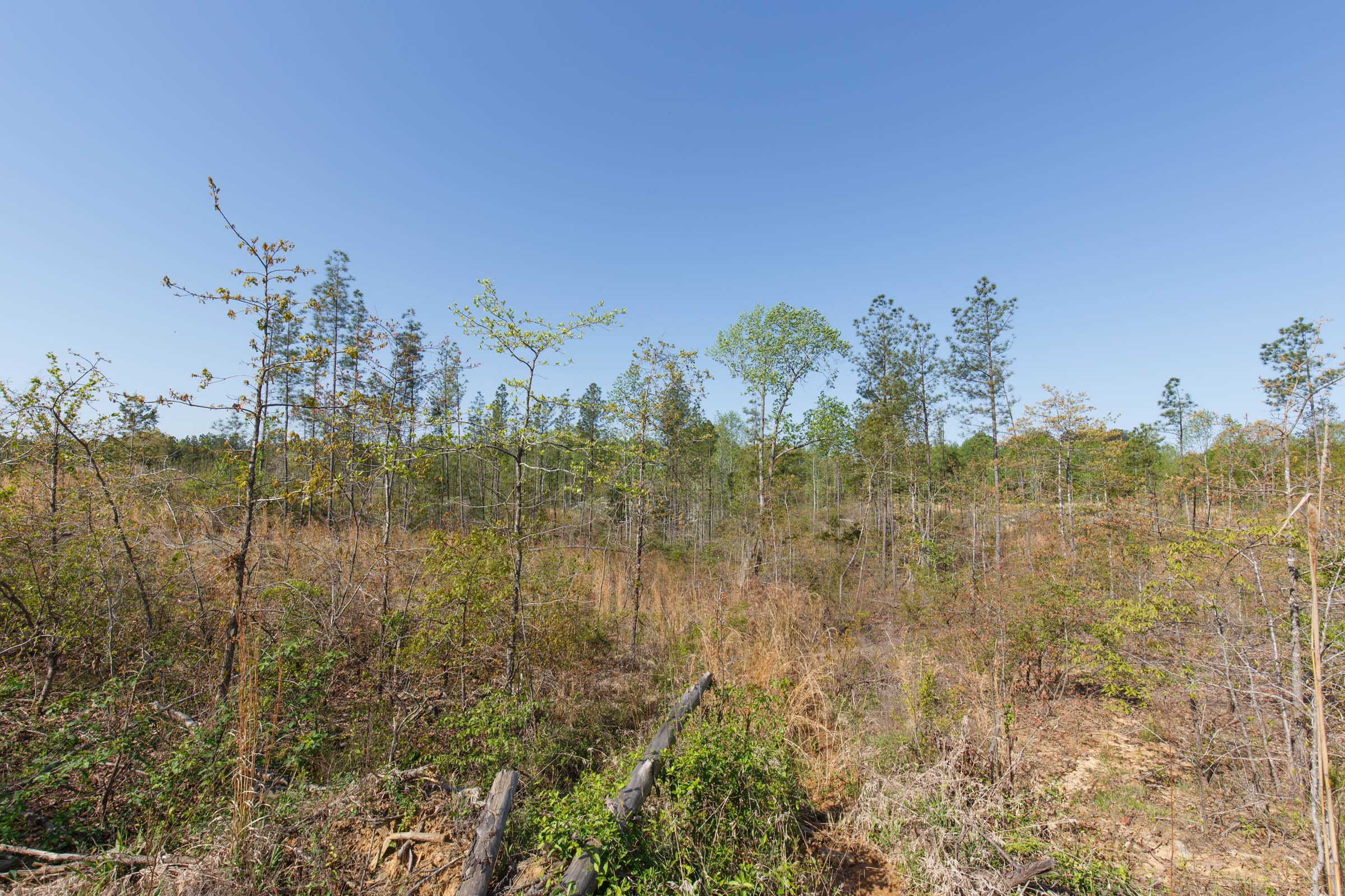 Twin Rivers Tract 2 photo 21